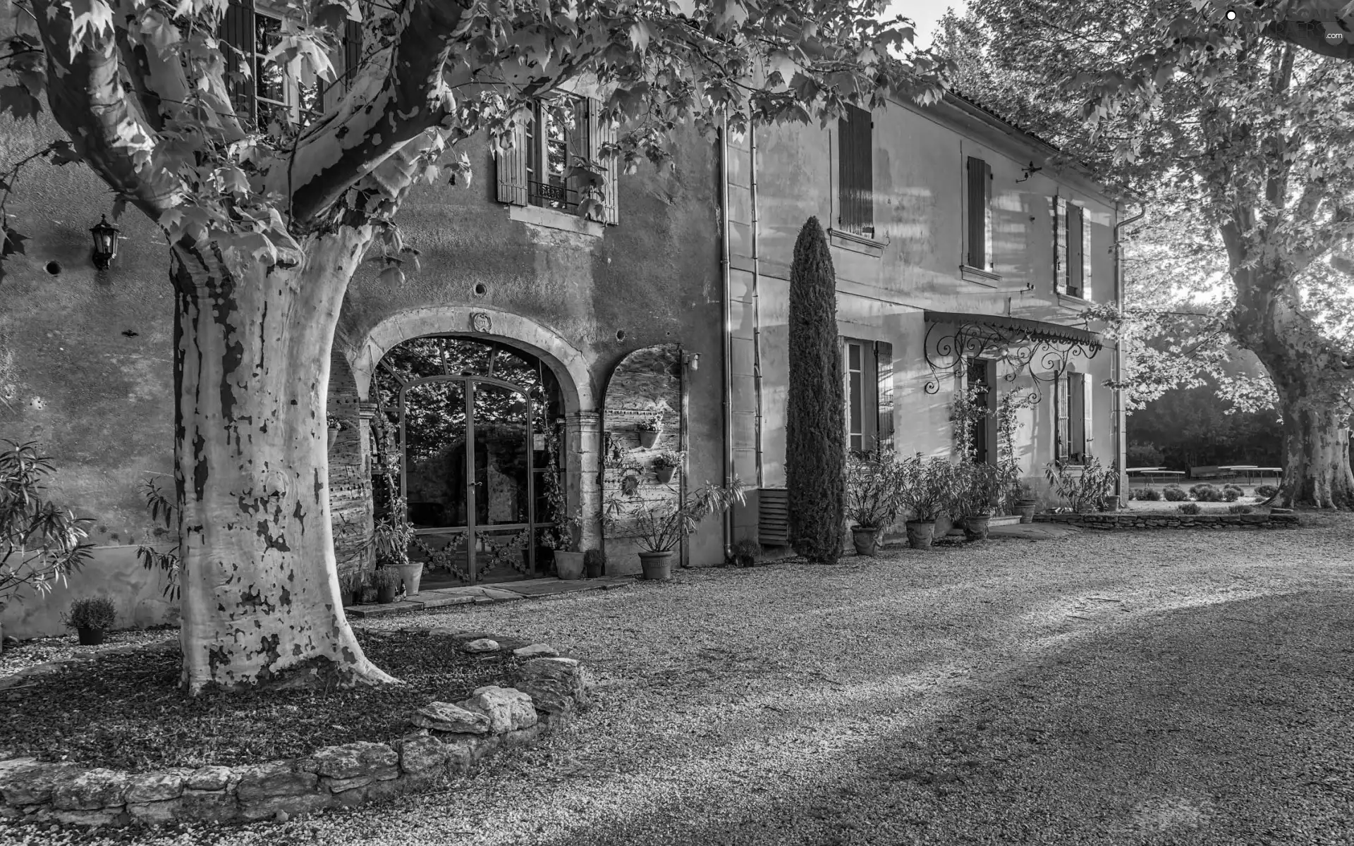 trees, house, Doors