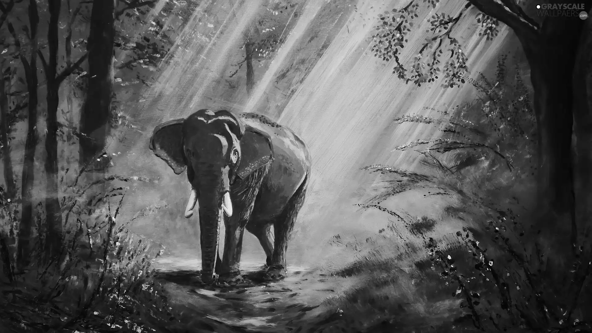 forest, painting, ligh, Way, flash, viewes, trees, Elephant, picture, luminosity, sun