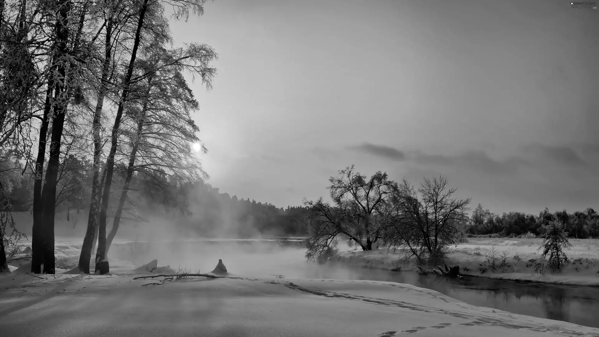River, dawn, viewes, forest, winter, trees, Fog