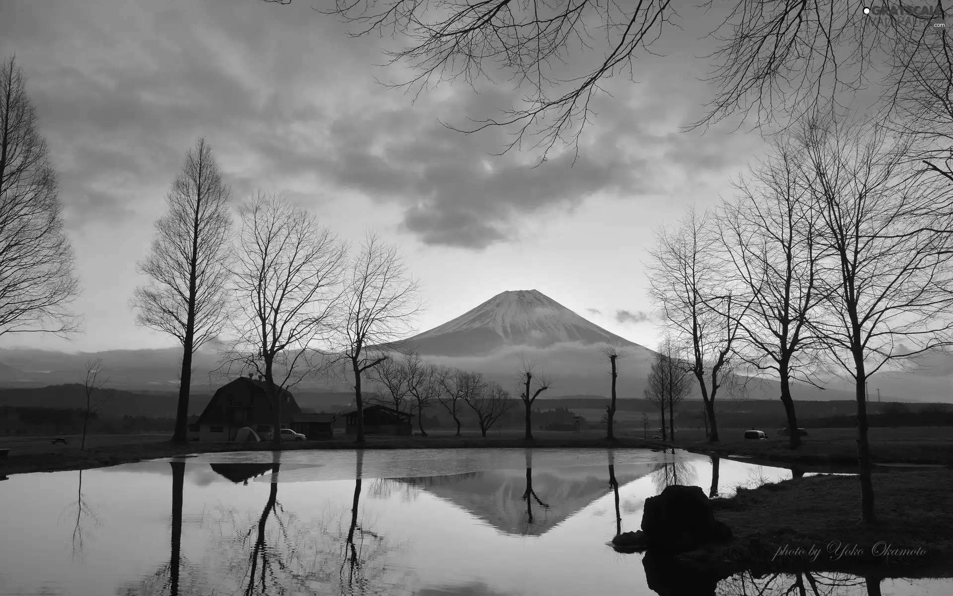 trees, viewes, Japan, clouds, Fog, Houses, Pond - car, Fuji