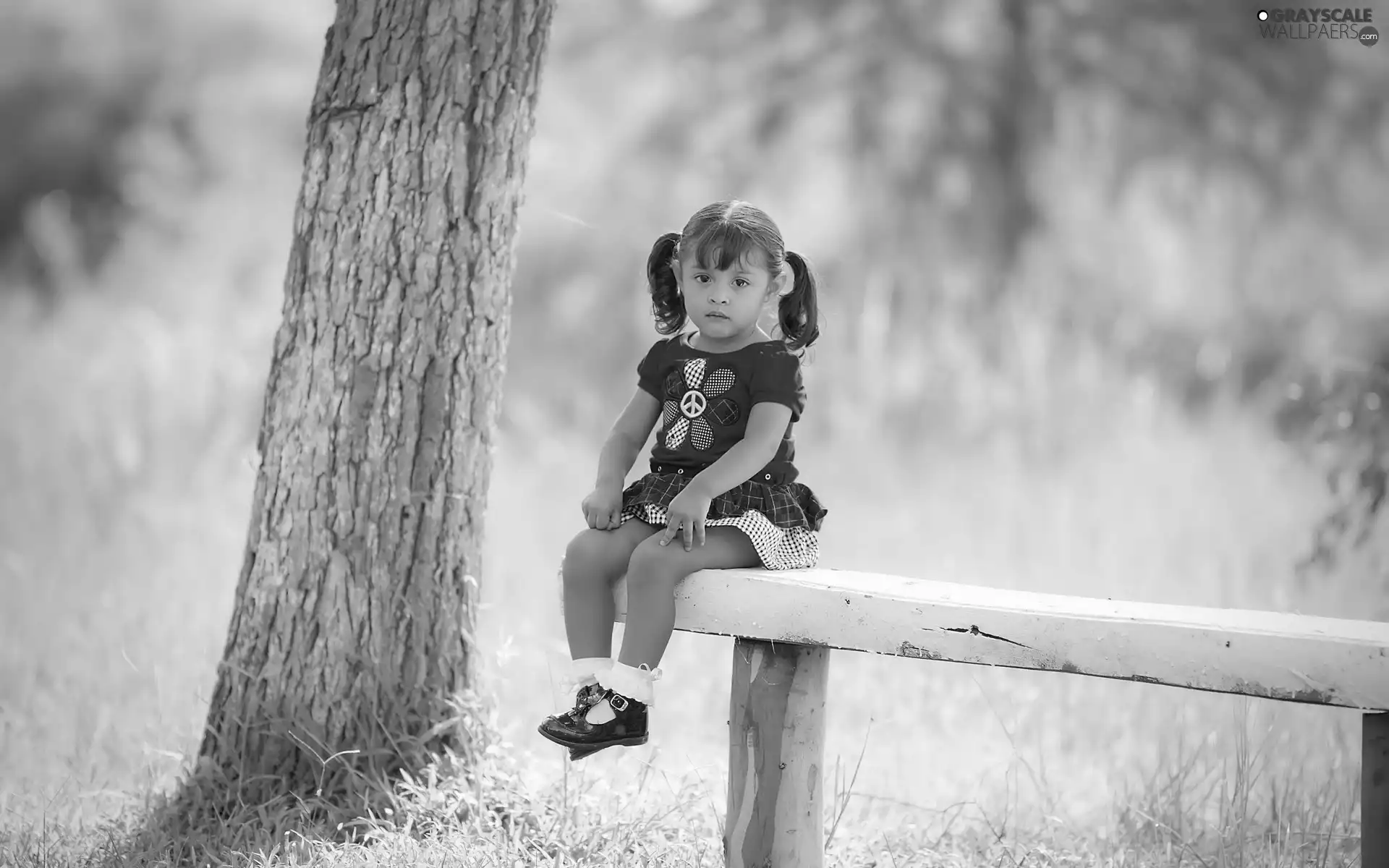 girl, grass, trees, Bench