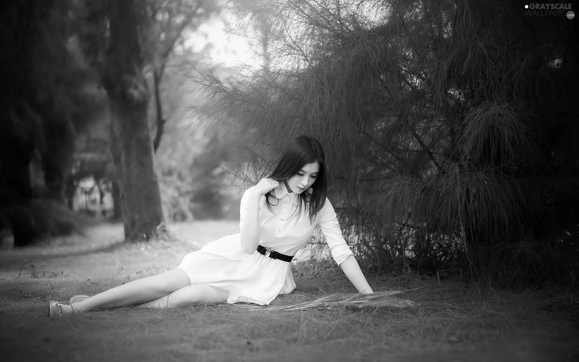 Park, White, viewes, dress, brunette, trees, grass