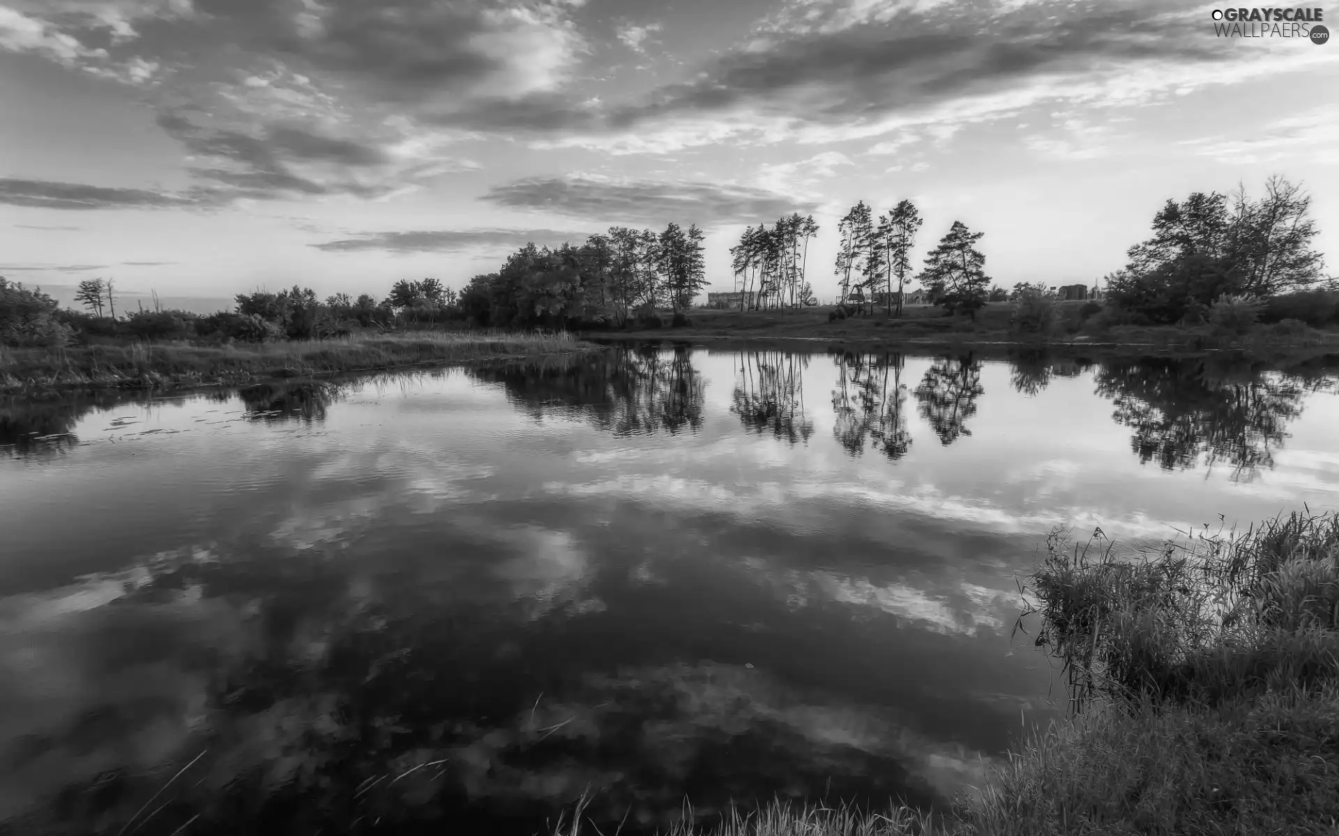 trees, viewes, summer, clouds, grass, River, Great Sunsets, reflection