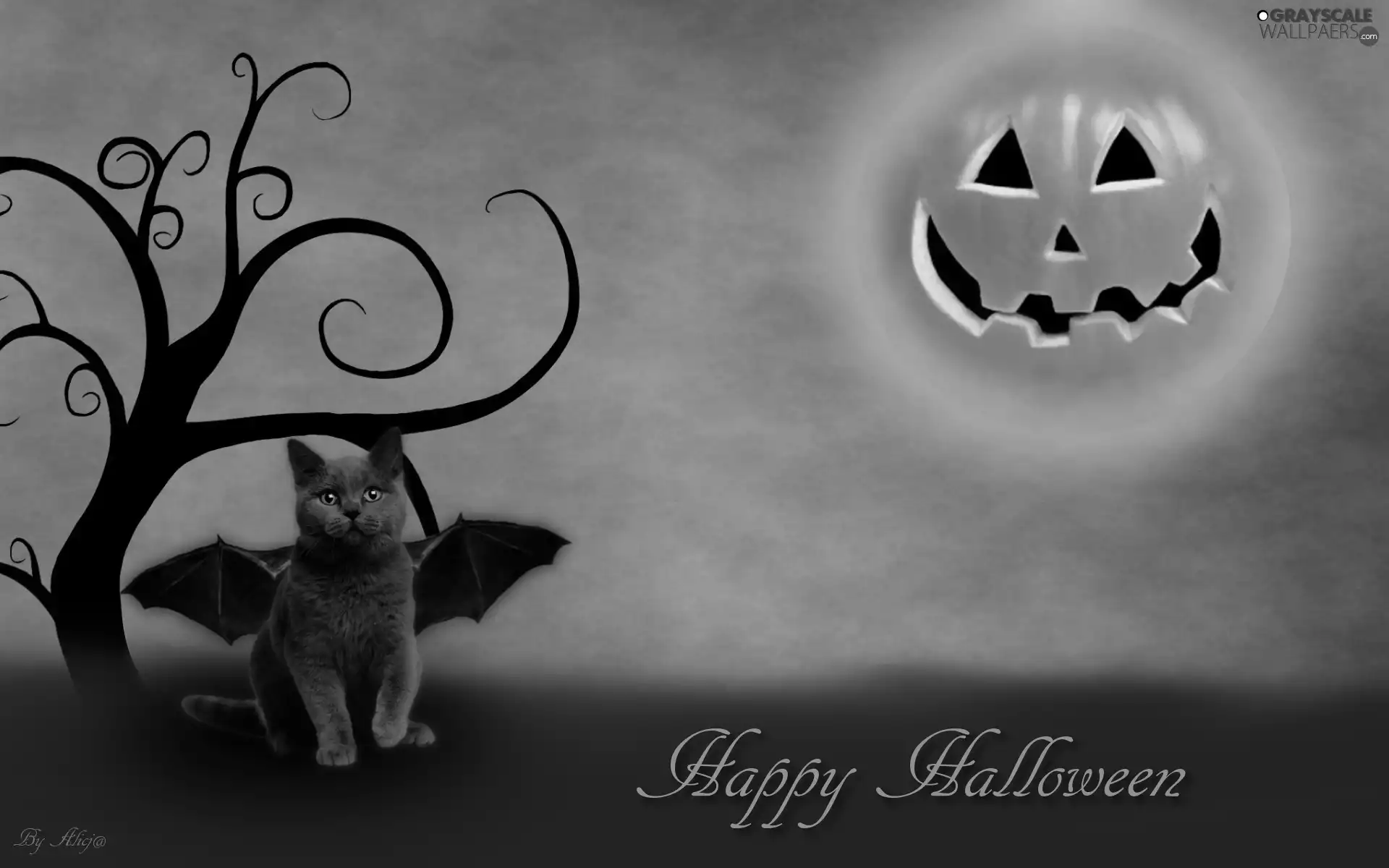 halloween, pumpkin, trees, cat