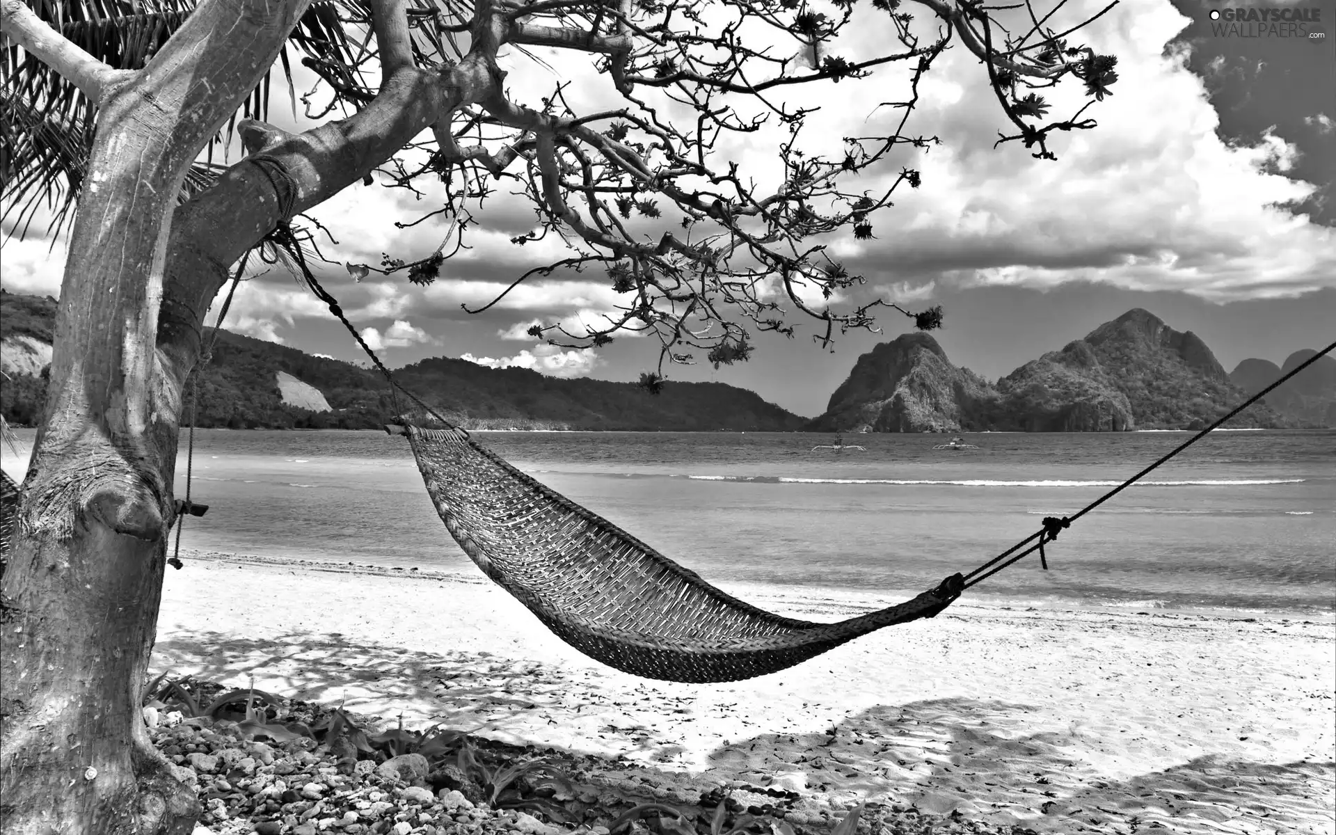 trees, Hammock, Mountains, Beaches, sea