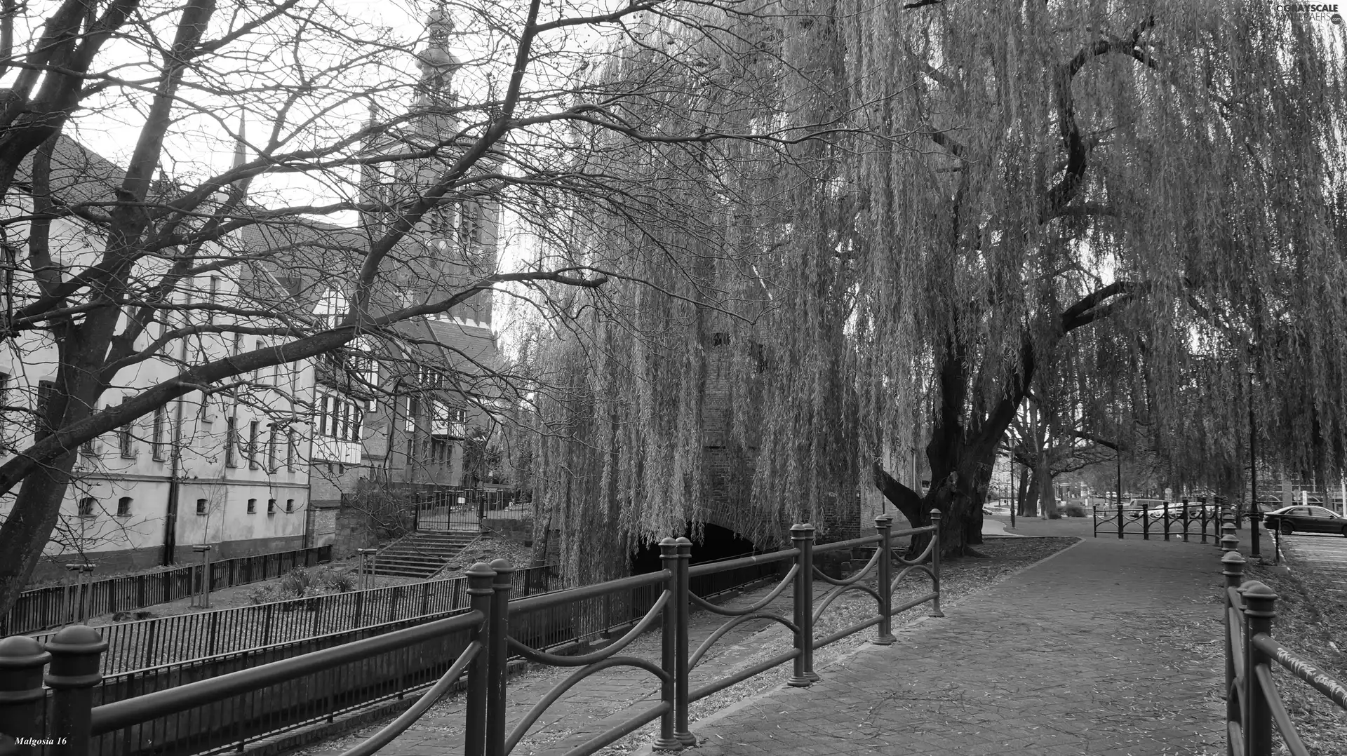 lane, vintage, viewes, apartment house, Gdańsk, trees, Willow