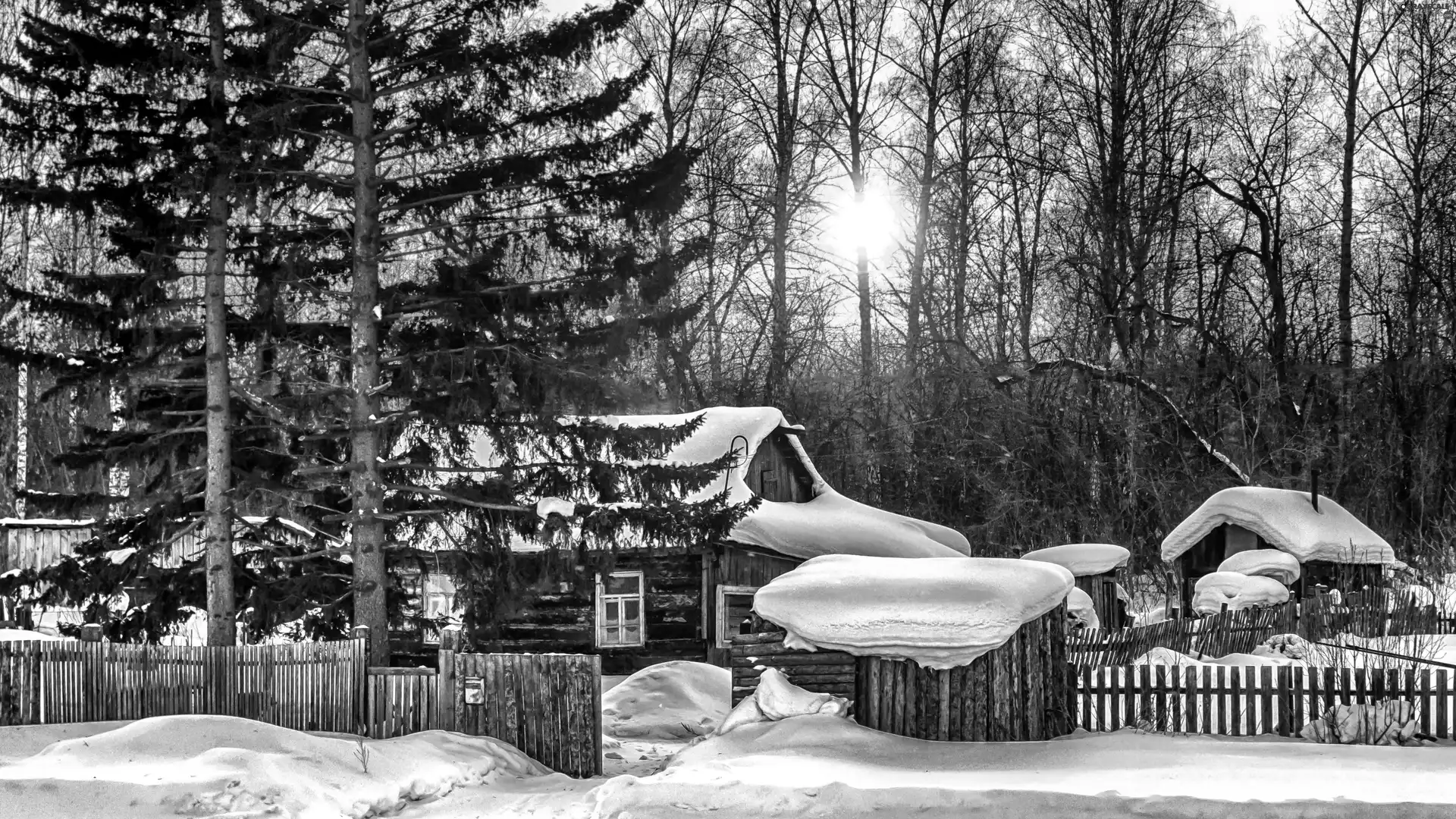 trees, winter, Houses, fence, viewes, Great Sunsets