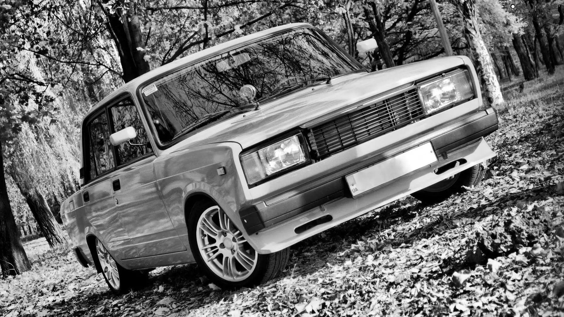 trees, viewes, Lada 2105, Leaf, Green