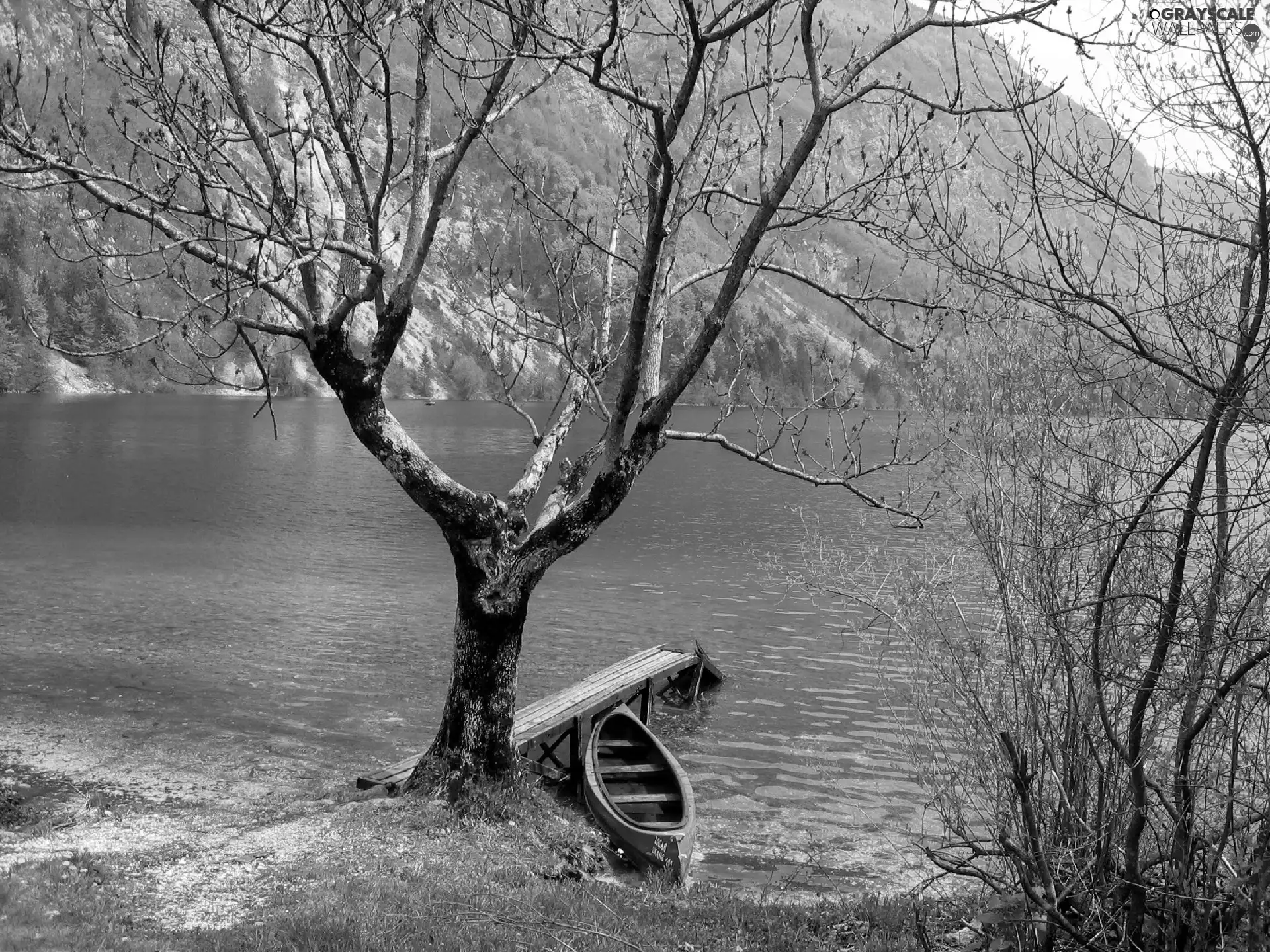 lake, Boat, trees, Platform