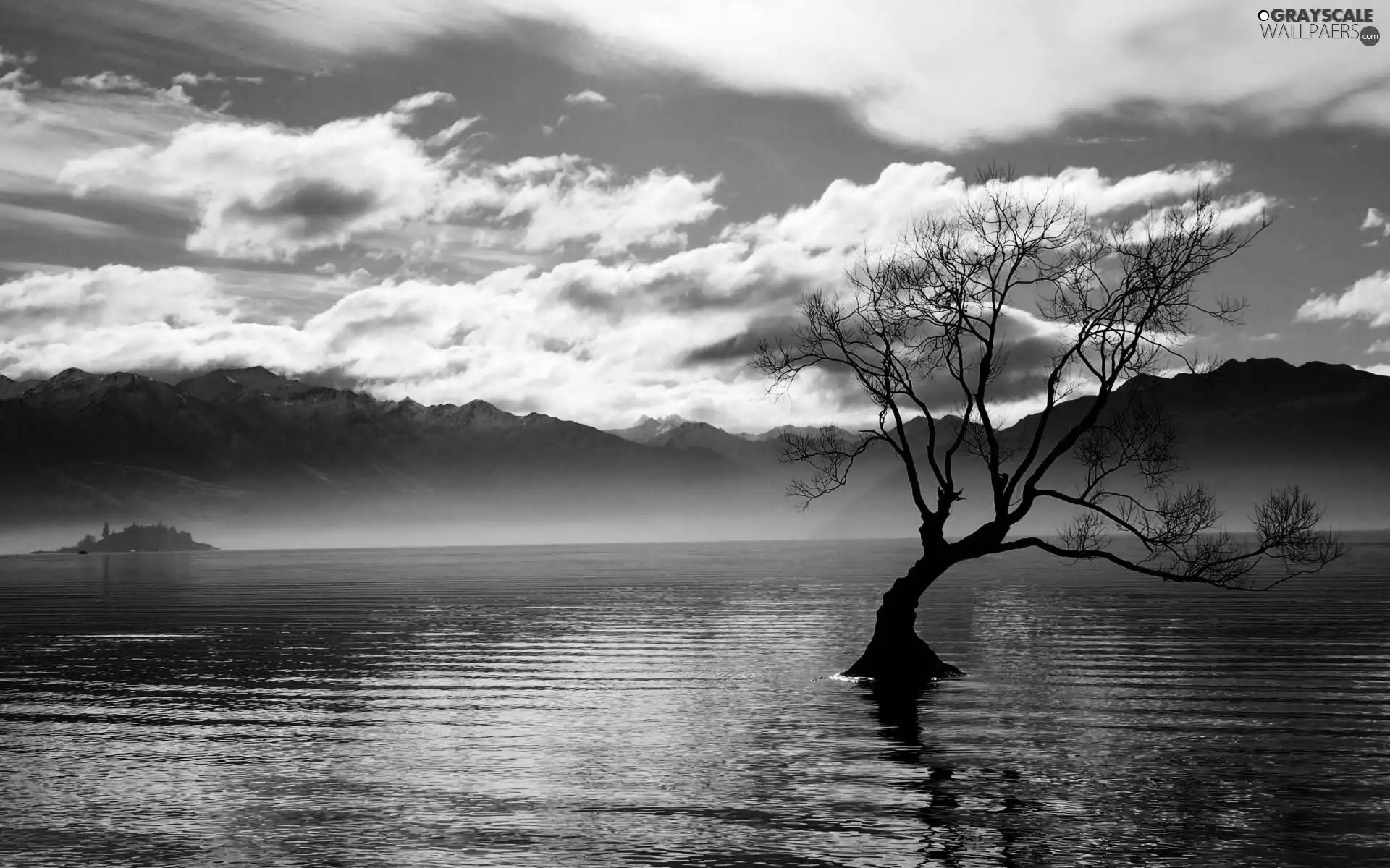 trees, Mountains, lake