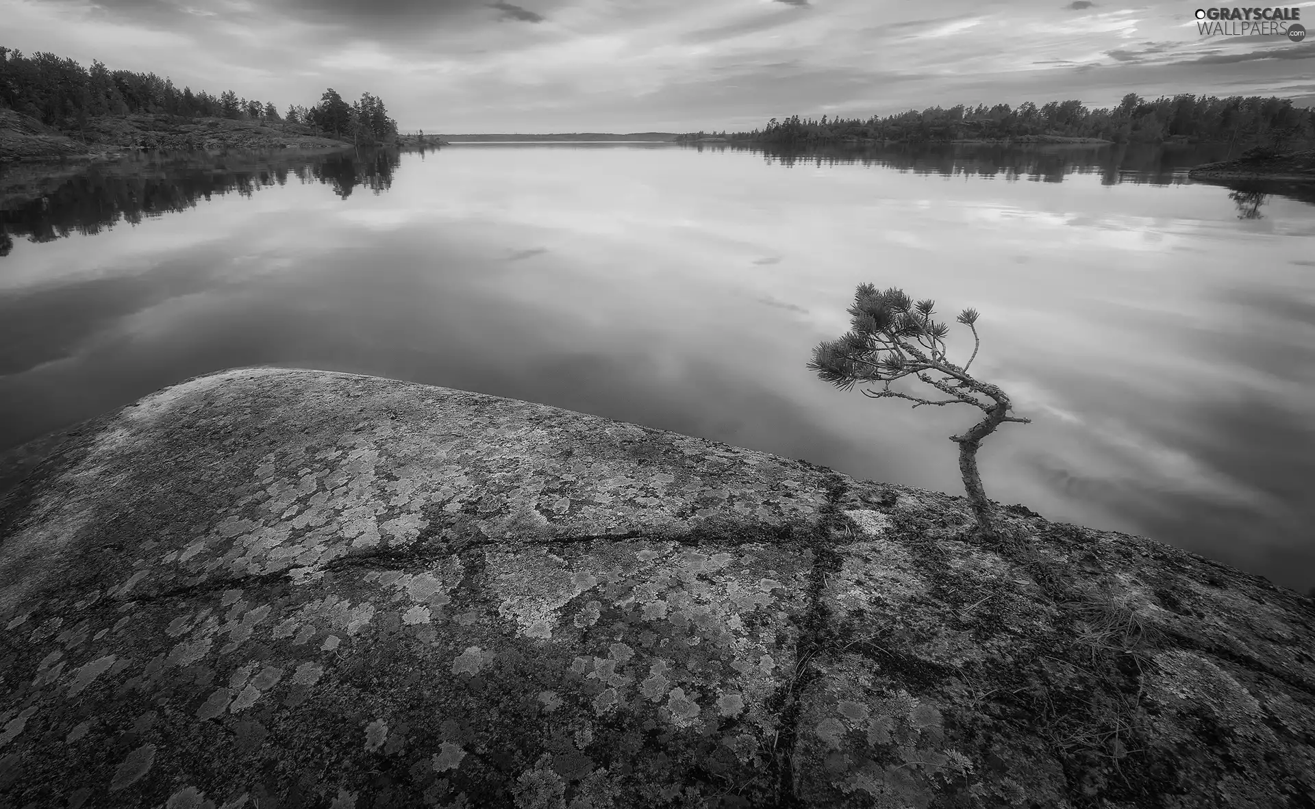 lake, viewes, Rocks, trees