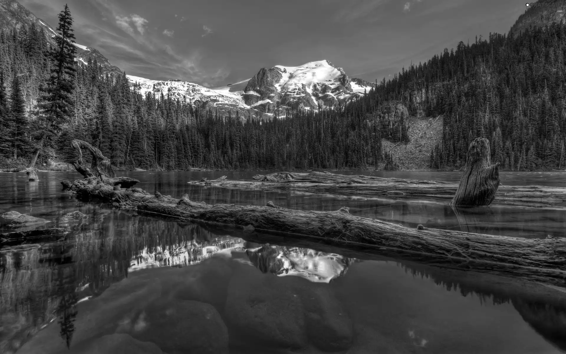 lake, Stems, trees, Mountains