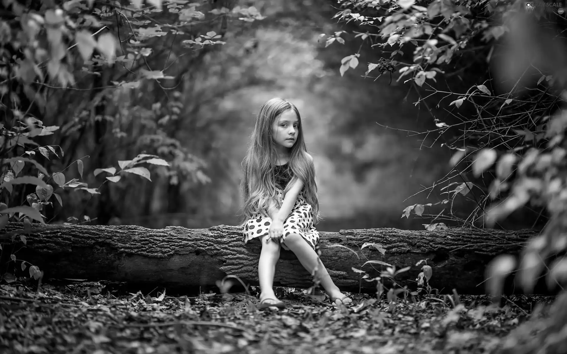 trees, Leaf, girl, forest, Kid