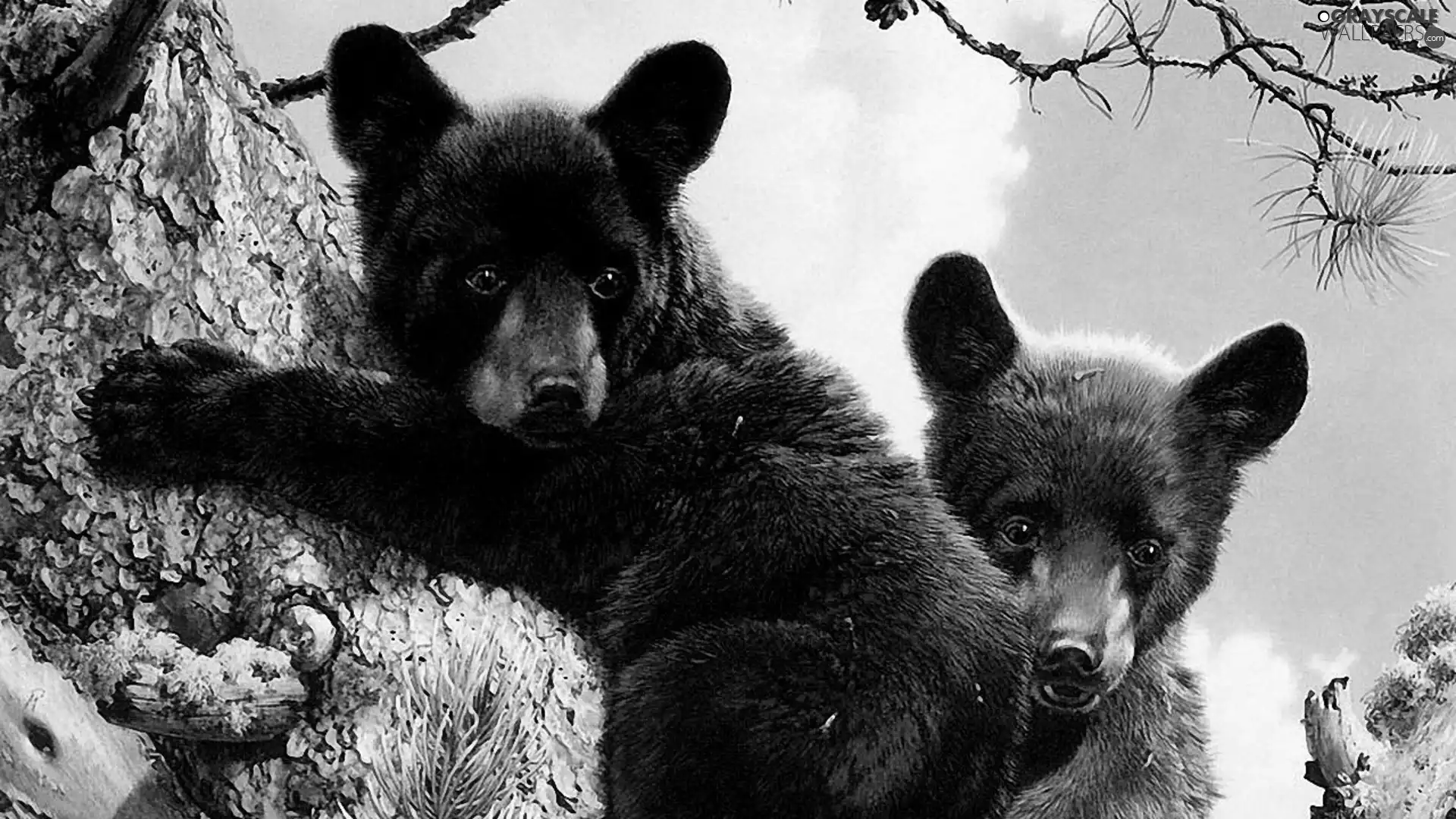Two cars, bear, trees, little doggies