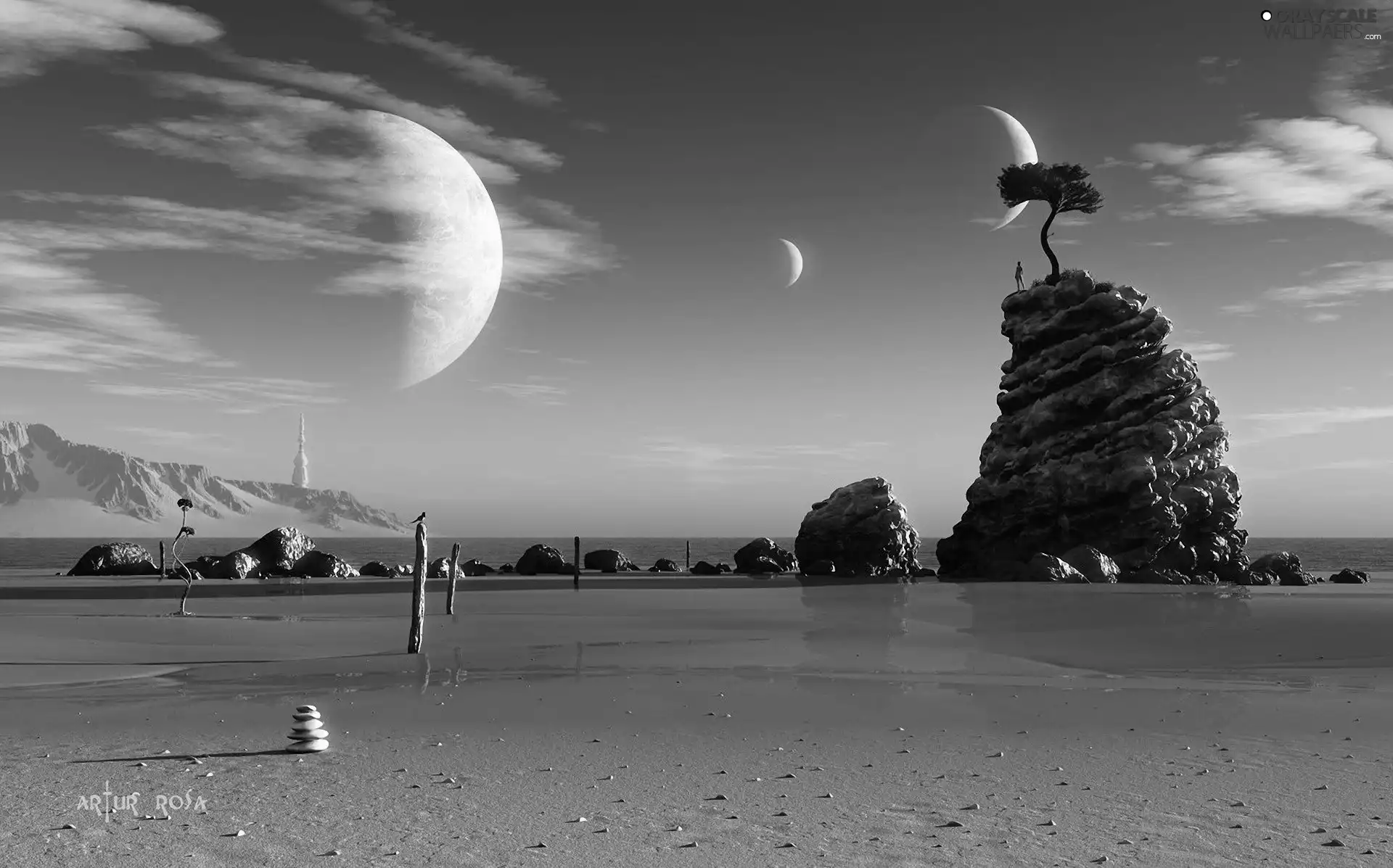 trees, moon, Beaches, rocks, sea