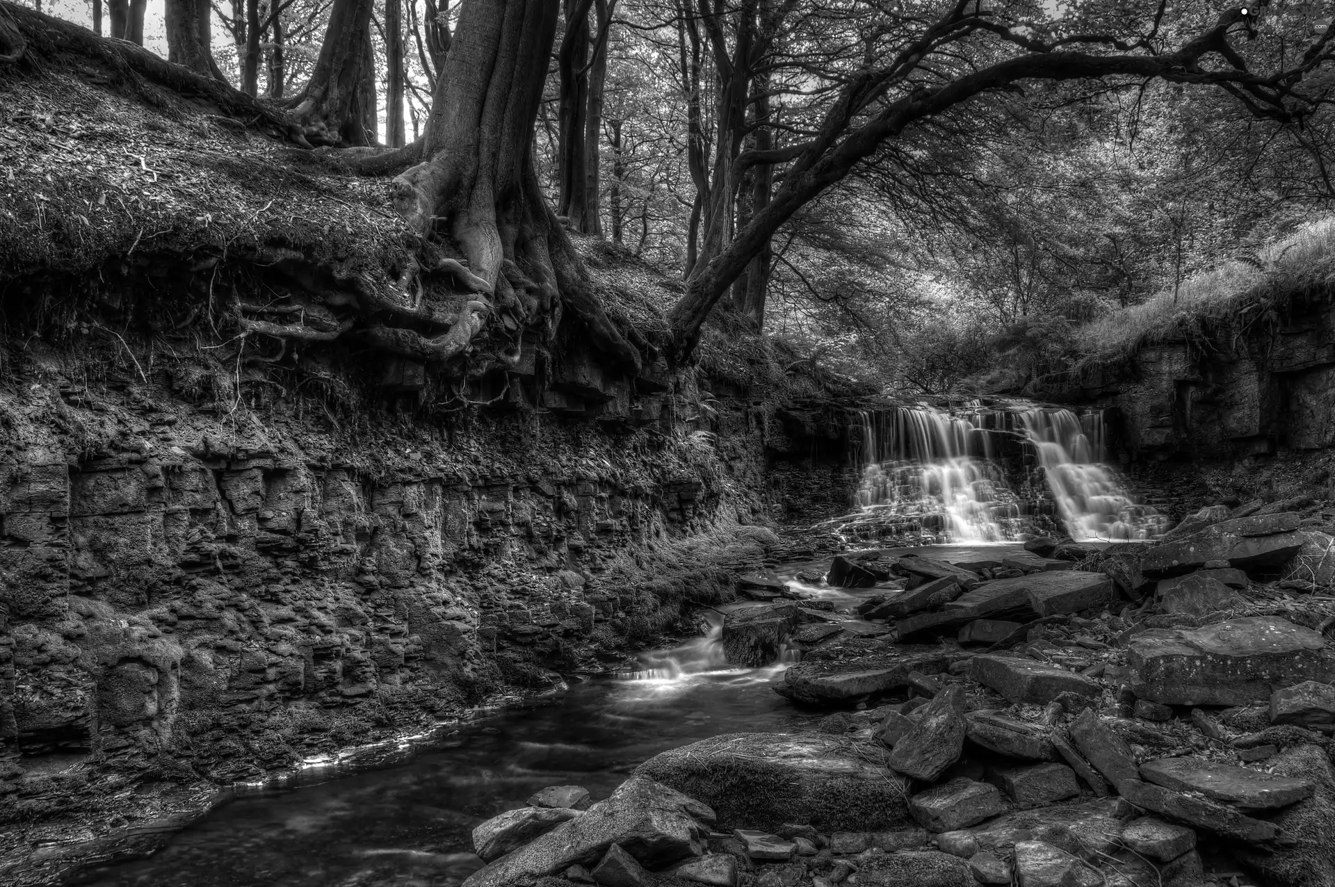 scarp, VEGETATION, mossy, waterfall, small, Stones, viewes, forest, rocks, trees, River, stream