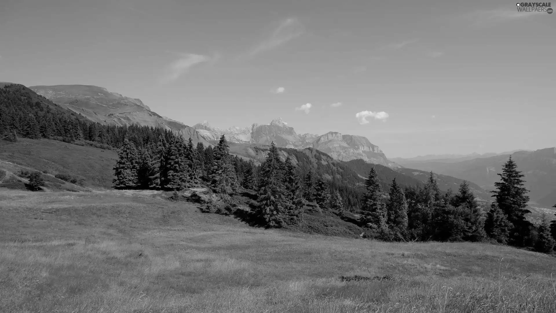Mountains, viewes, grass, trees