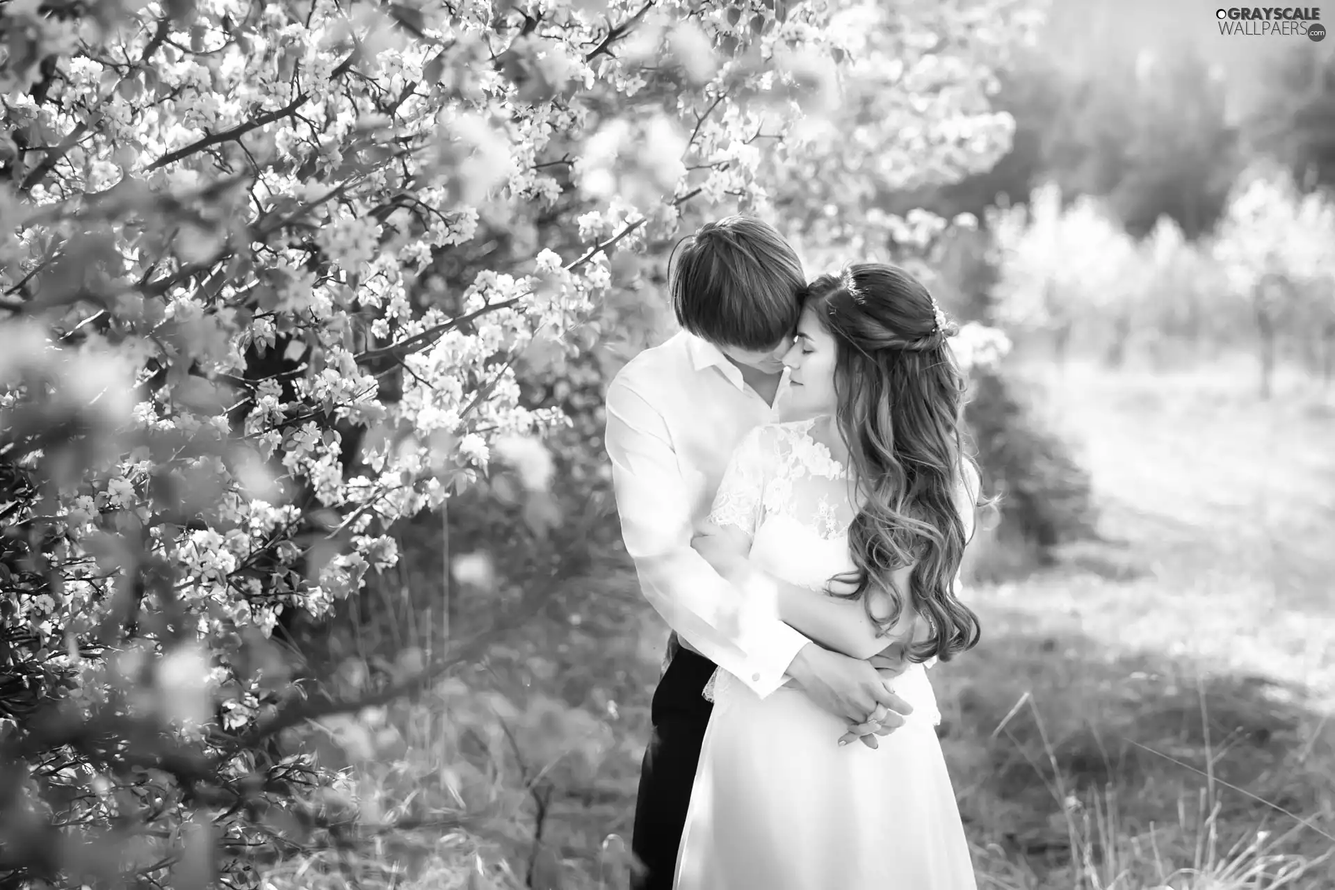 newlyweds, flourishing, trees, marriage