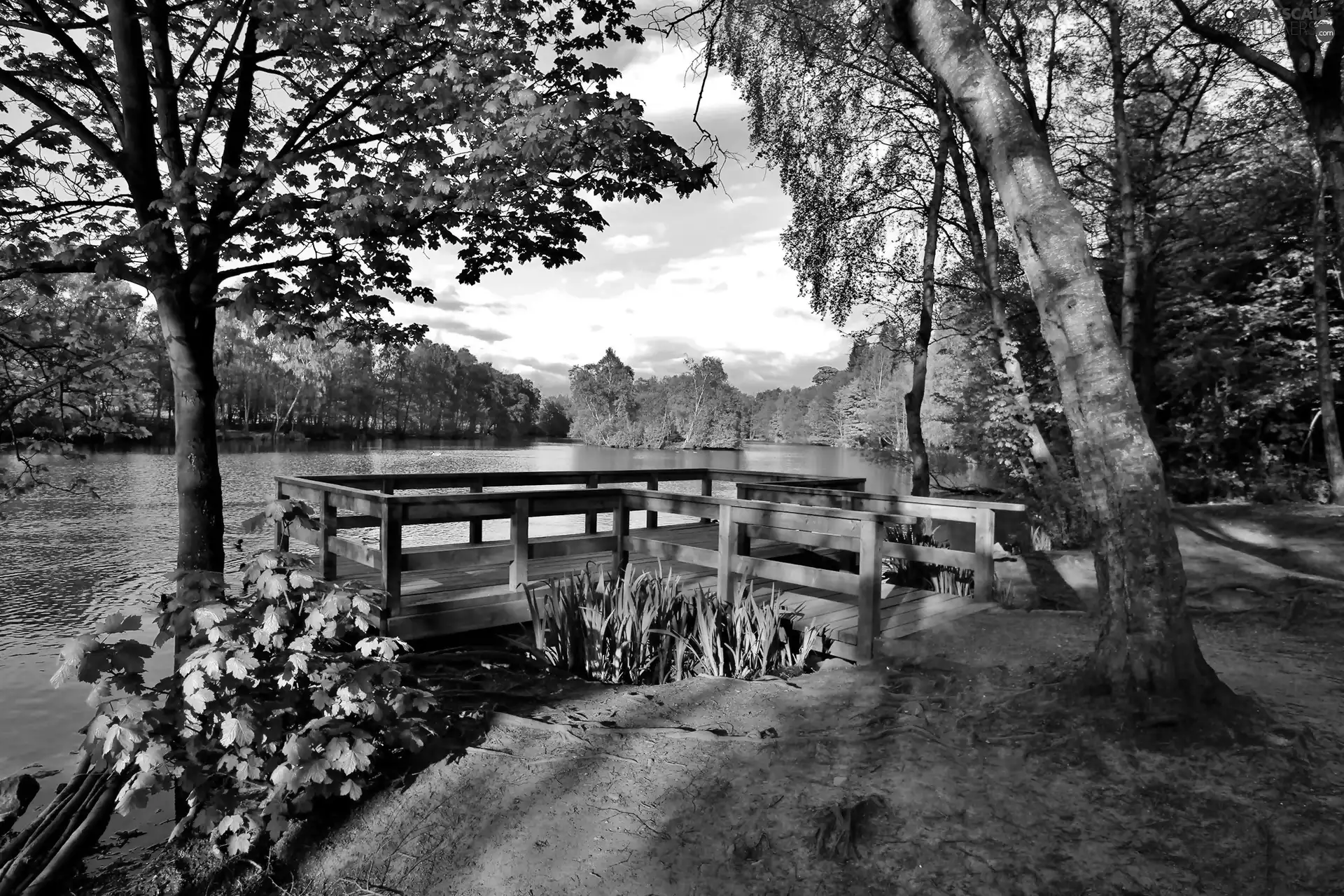 viewes, light breaking through sky, Platform, trees, lake