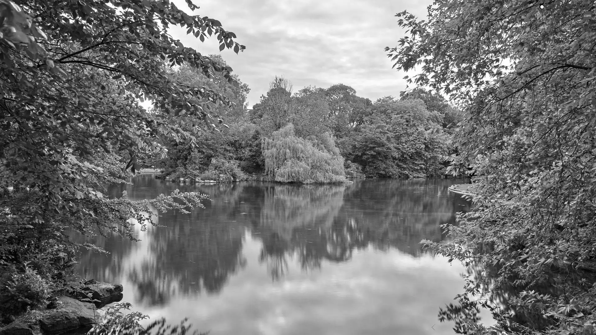 viewes, Pond - car, trees