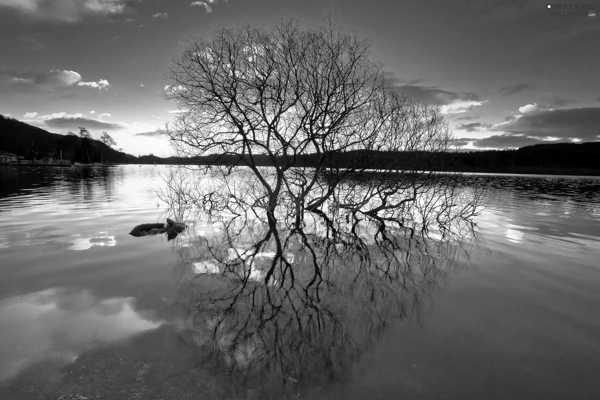 trees, reflection, east, sun, lake