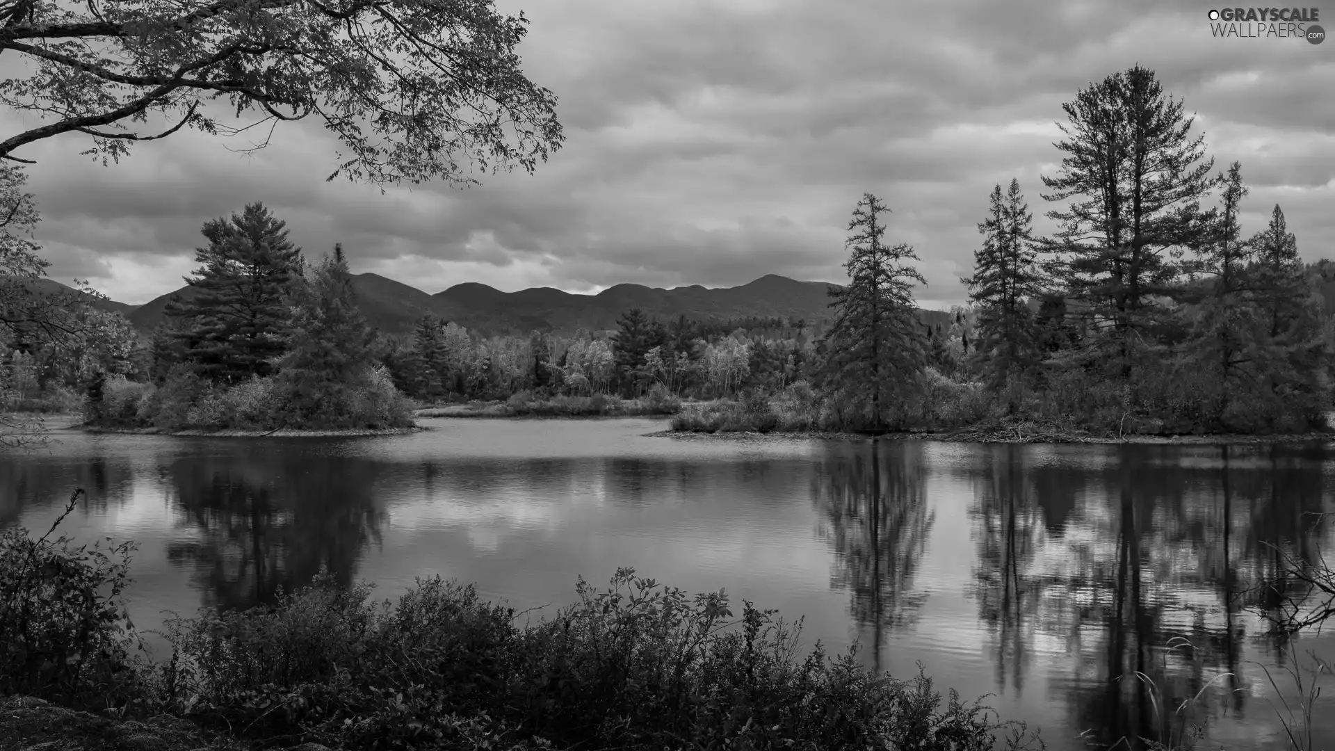 viewes, River, reflection, trees, Mountains, clouds, autumn