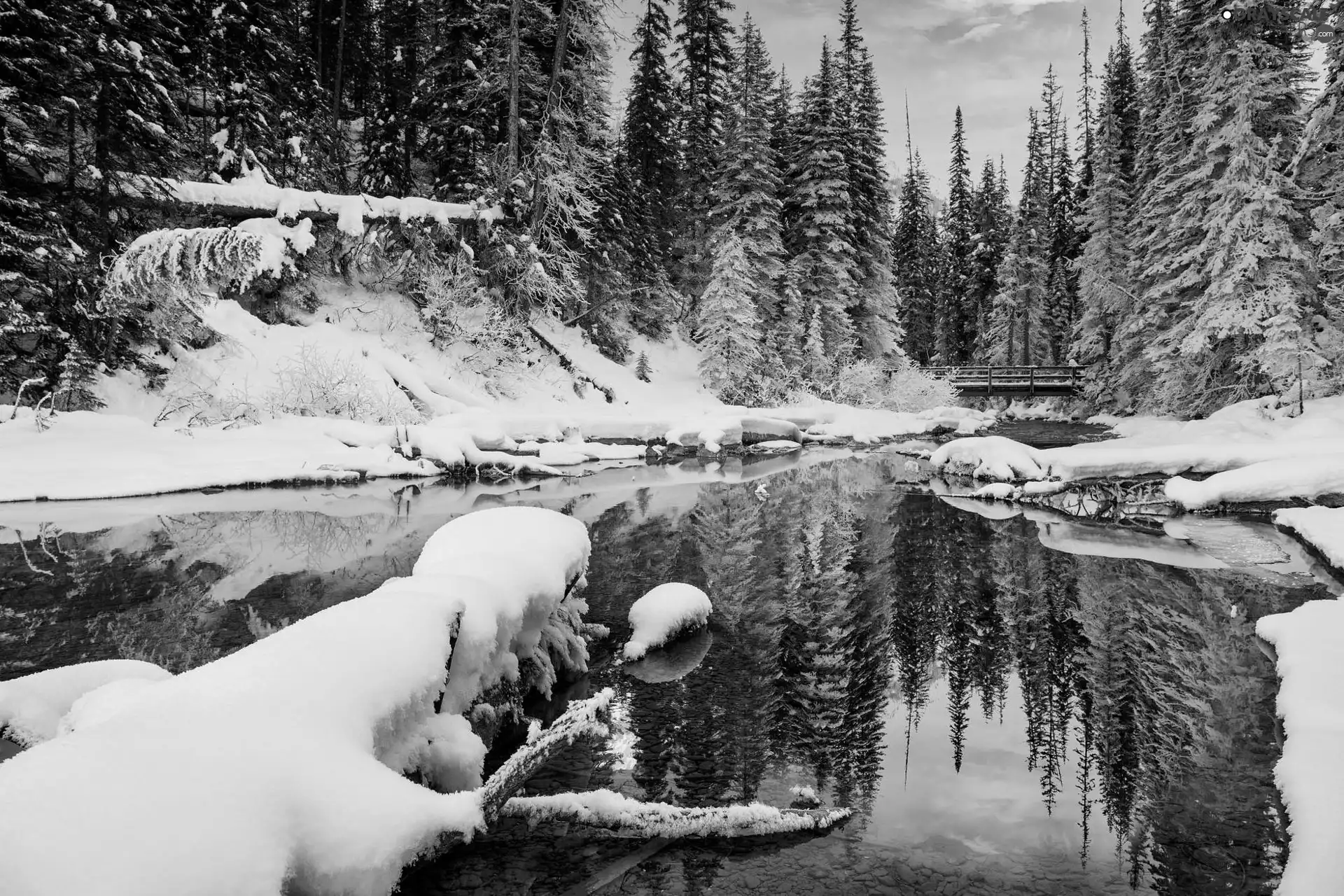 trees, forest, viewes, snow, winter, Great Sunsets, bridge, reflection, River