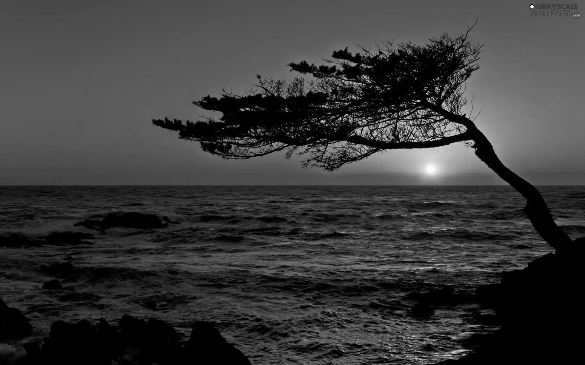 water, west, trees, rocks, sea, sun