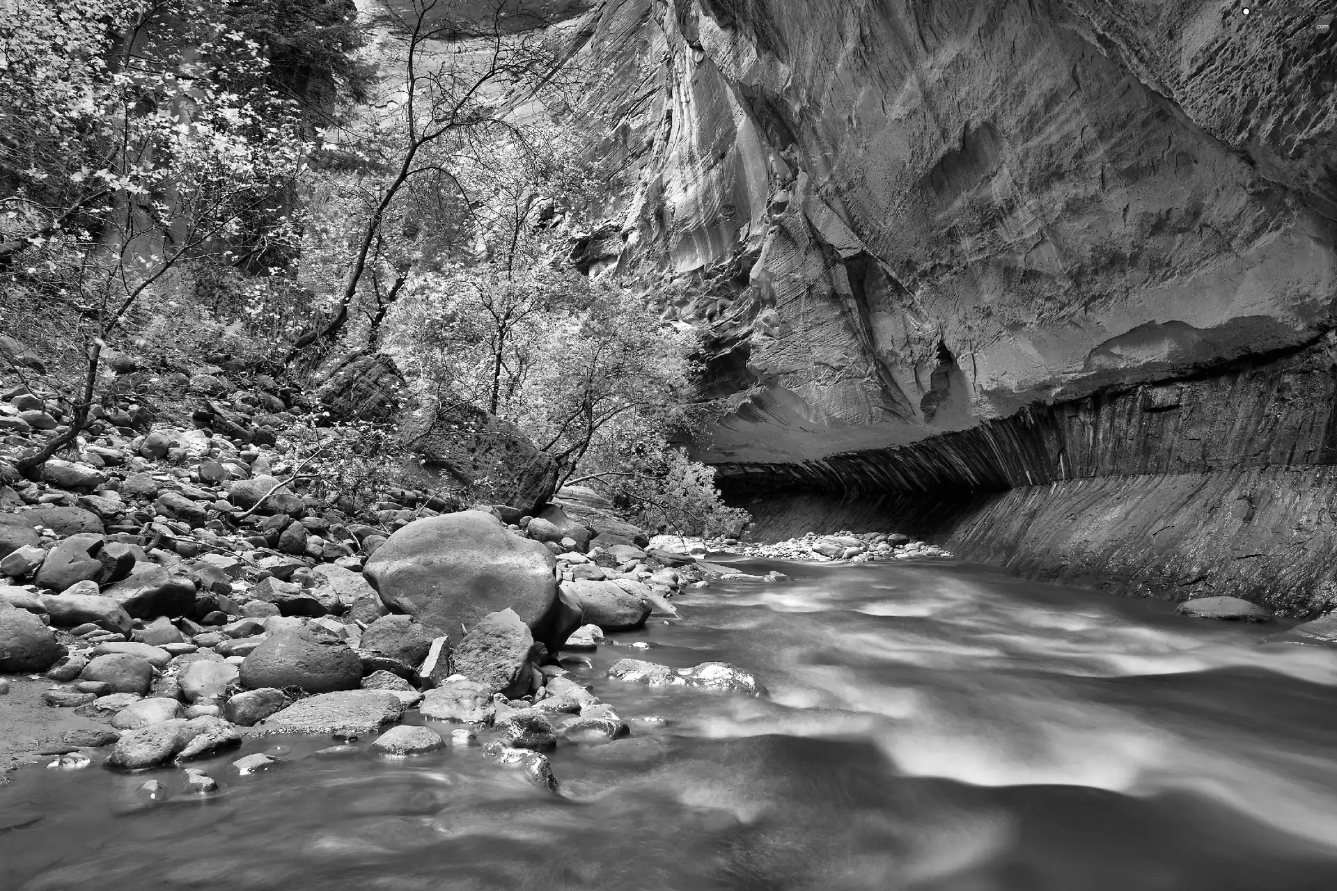 Rocks, stream, trees, Stones