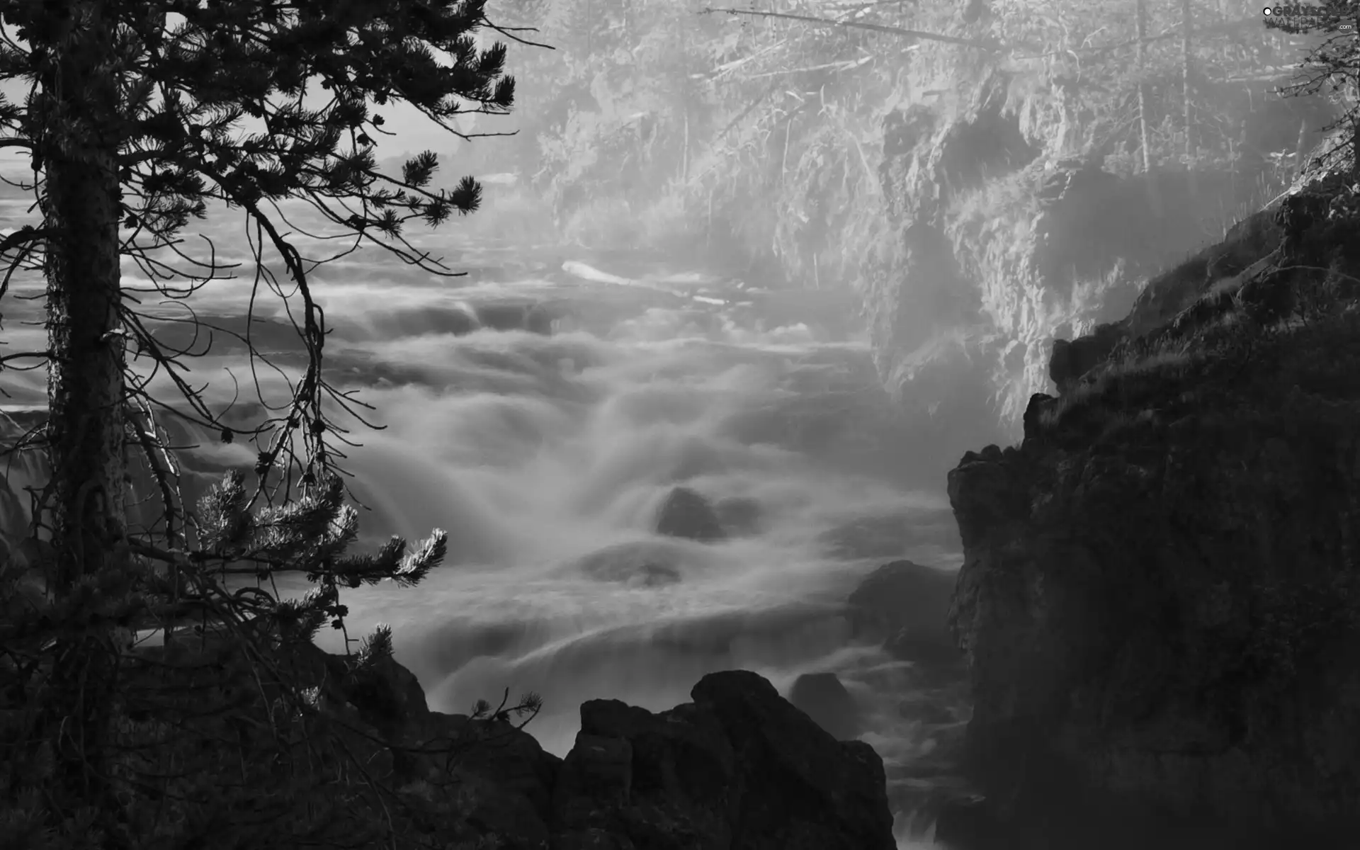 trees, waterfall, rocks