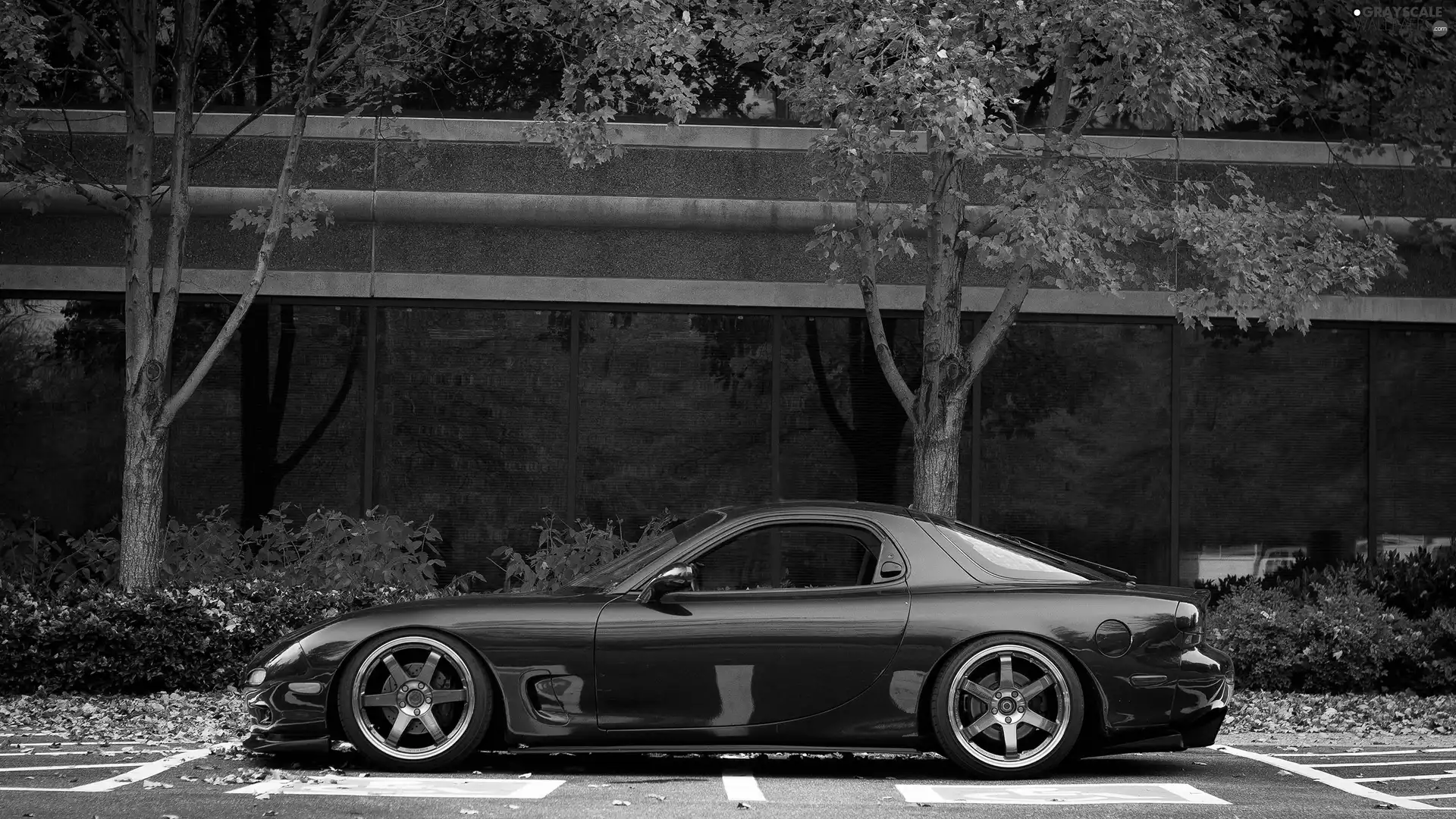 trees, viewes, Rx-7, parking, Mazda