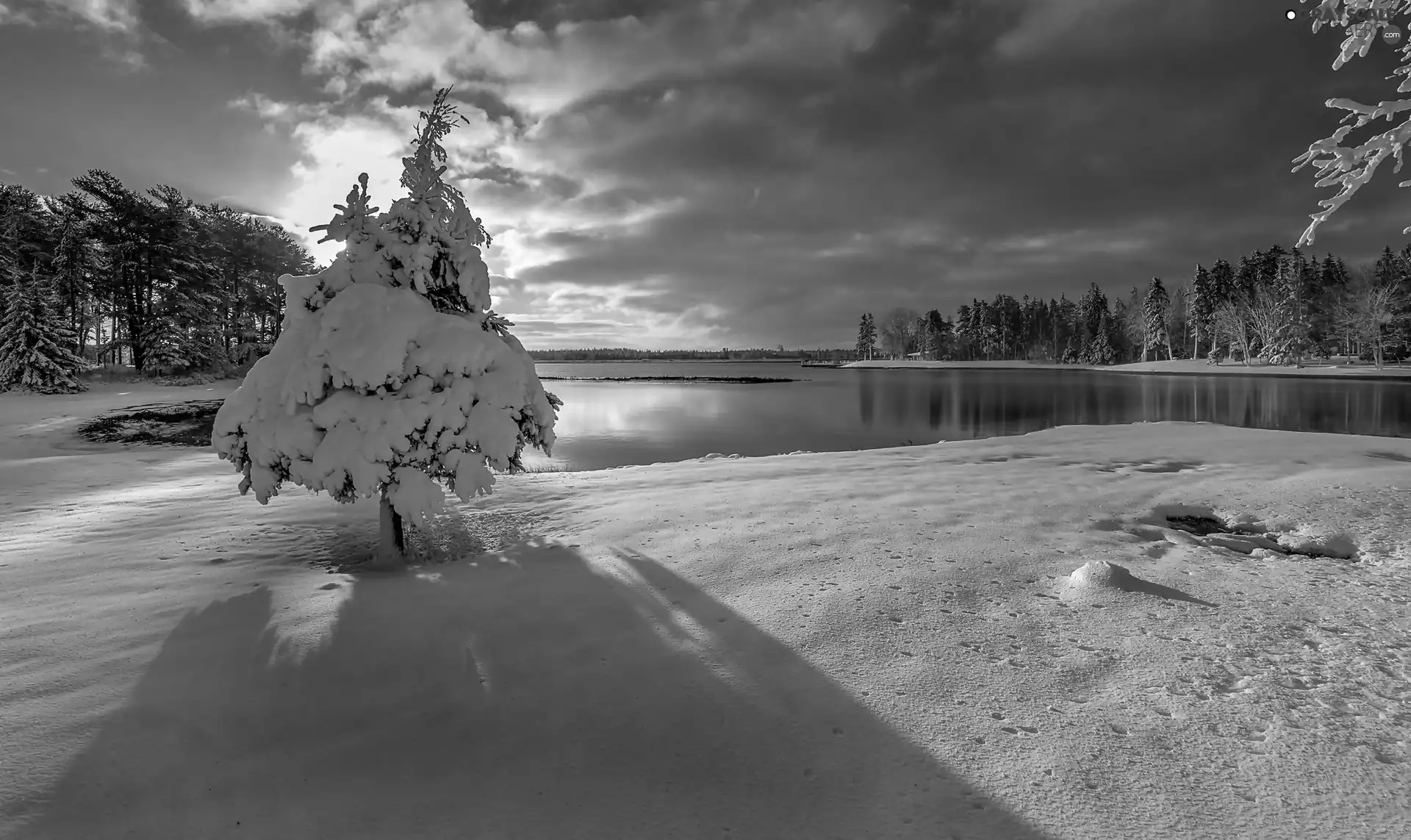 trees, shadow, lake, Sunrise, winter