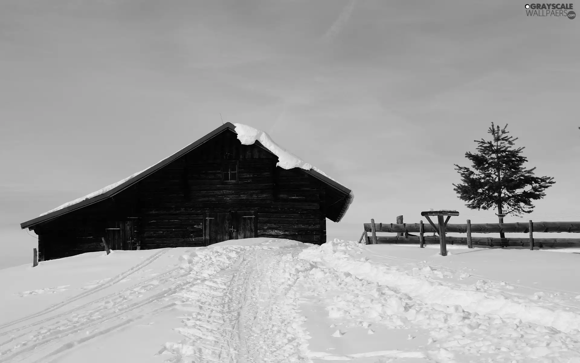 trees, Sky, Home, fence, snow