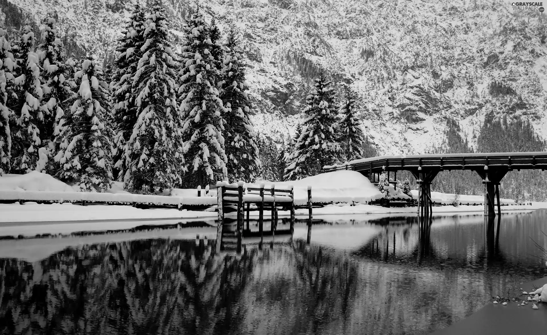 Snowy, River, viewes, bridge, winter, trees, snow