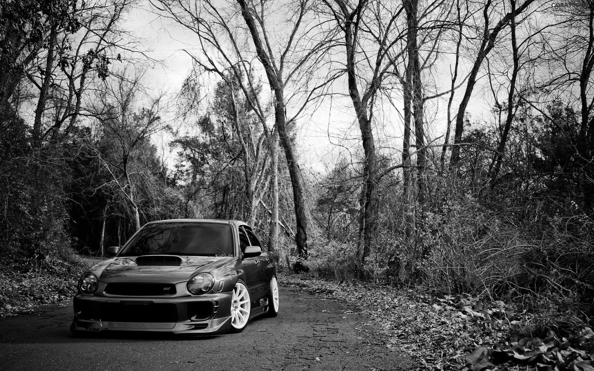 trees, viewes, Subaru Impreza, Way, Automobile