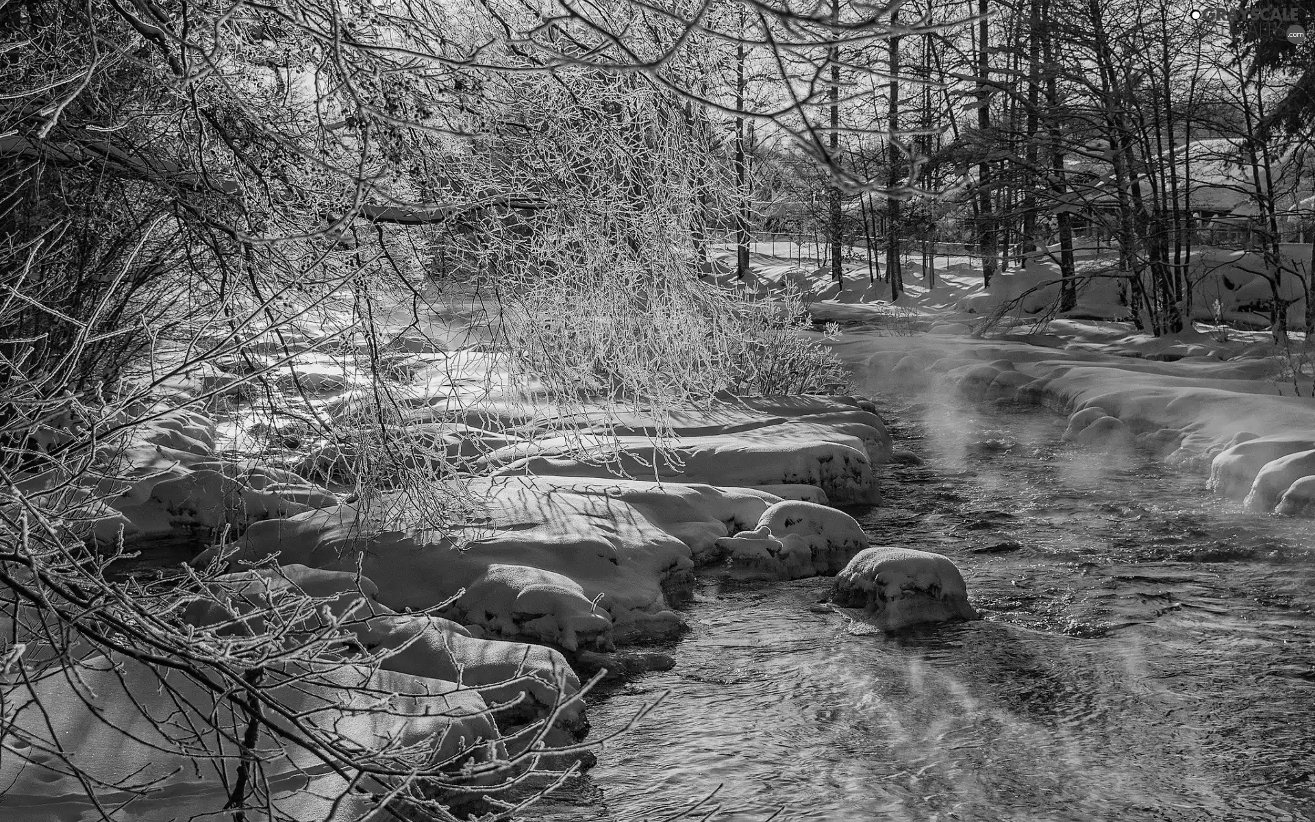 Stones, River, trees, viewes, luminosity, winter, sun, flash, ligh