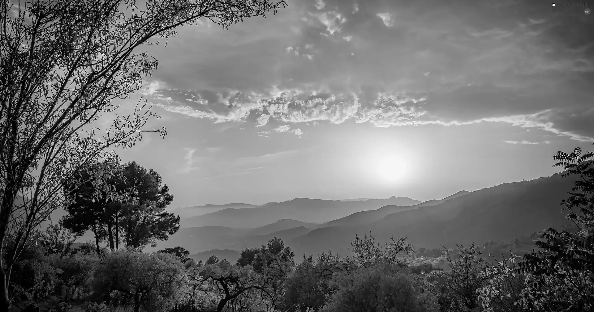 Sunrise, viewes, Mountains, trees