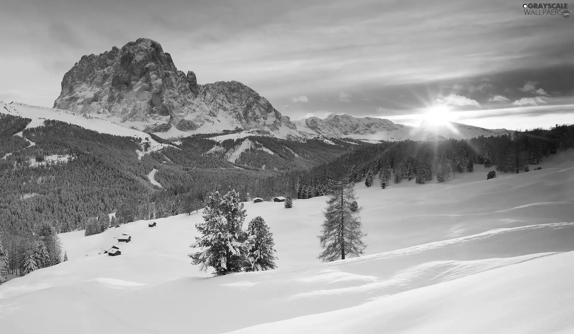 trees, winter, rays of the Sun, Sunrise, viewes, Mountains