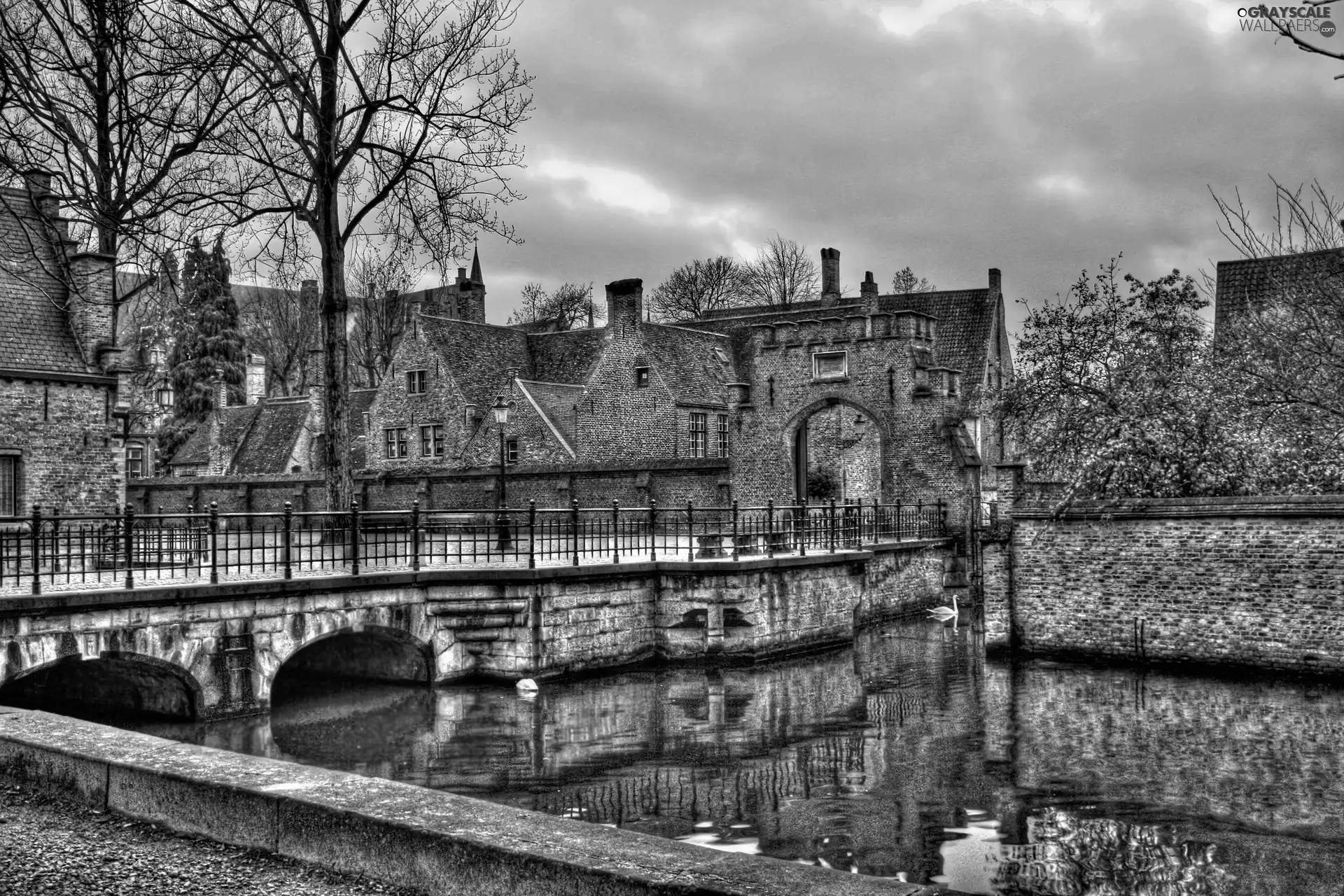 River, Bruges, viewes, Houses, Belgium, trees, Swans