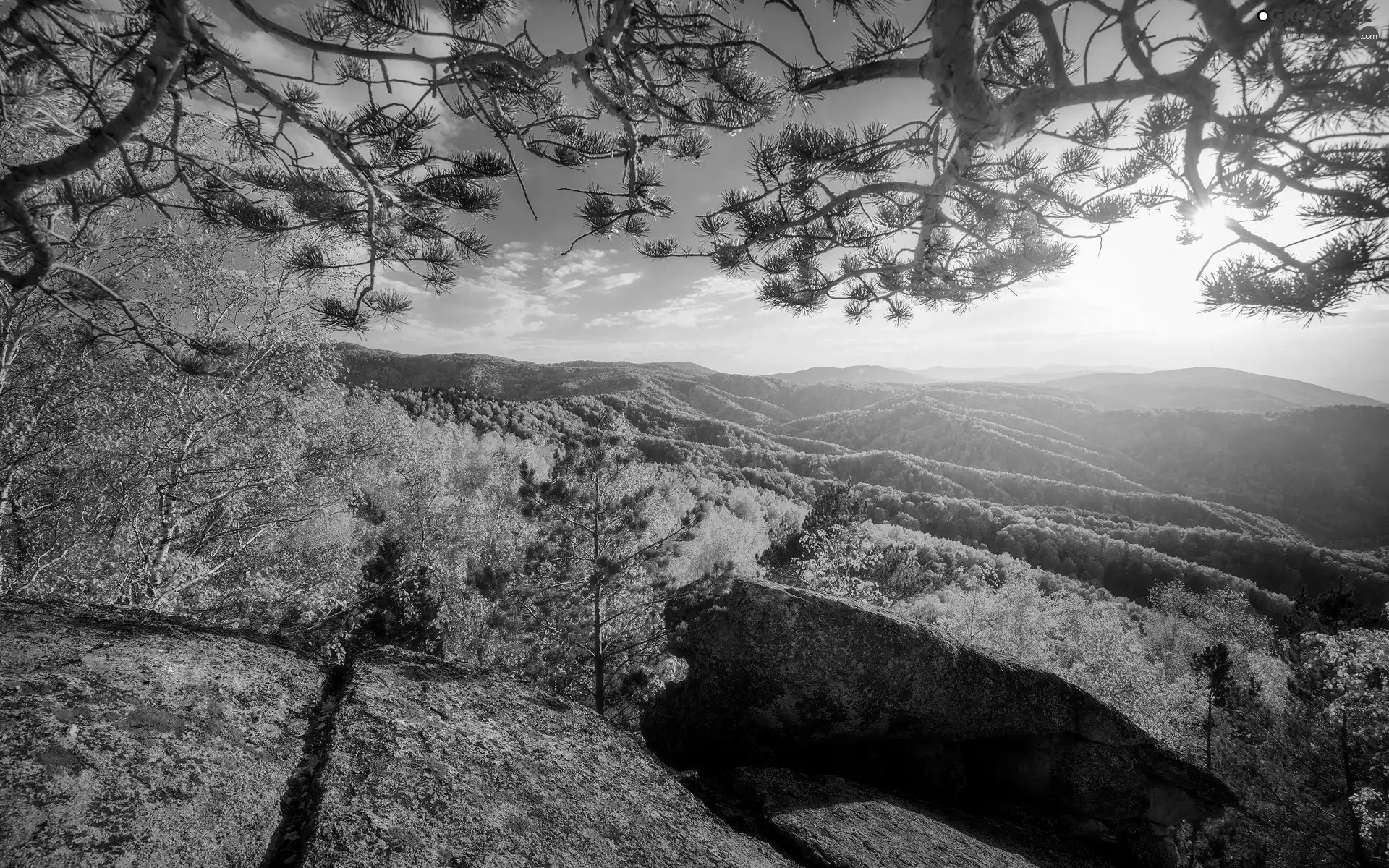 trees, viewes, Stone, autumn, pine, Mountains, The Hills, trees