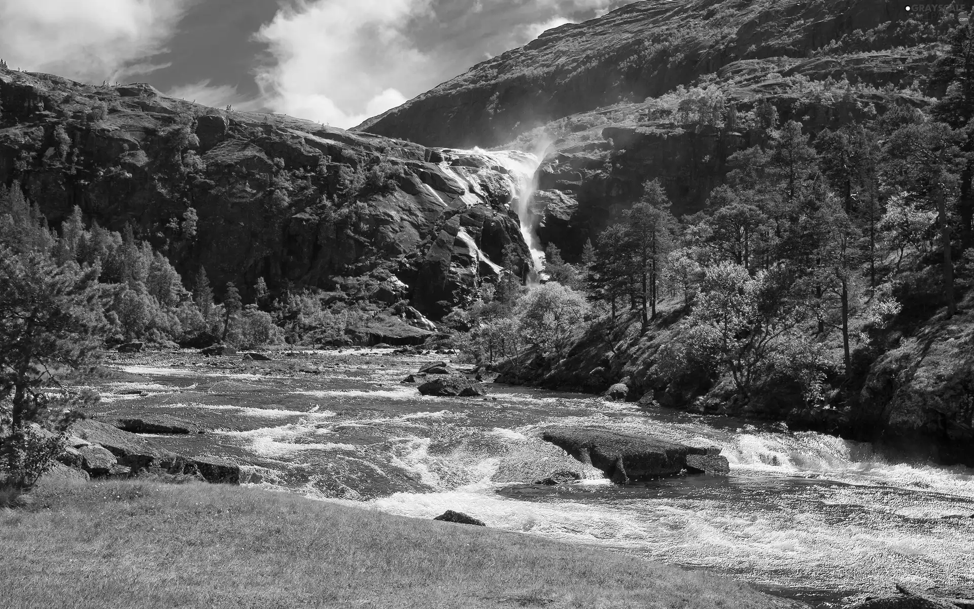 trees, viewes, The Hills, River, rocks