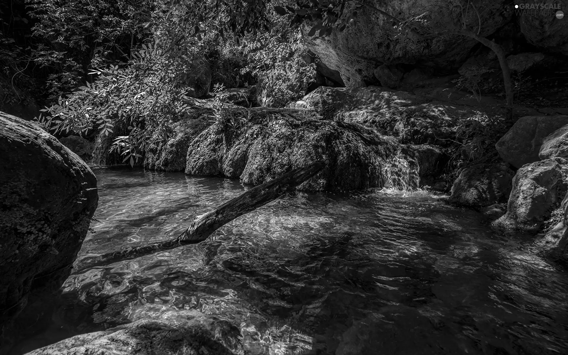 mossy, rocks, VEGETATION, Stones, viewes, River, flux, trees