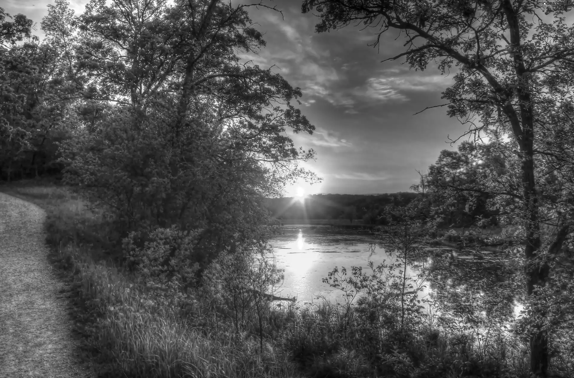 trees, River, VEGETATION, Way, viewes, Great Sunsets