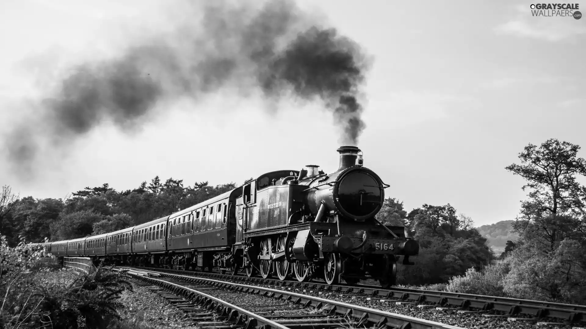 Wagons, Train, trees, viewes, ##, engine