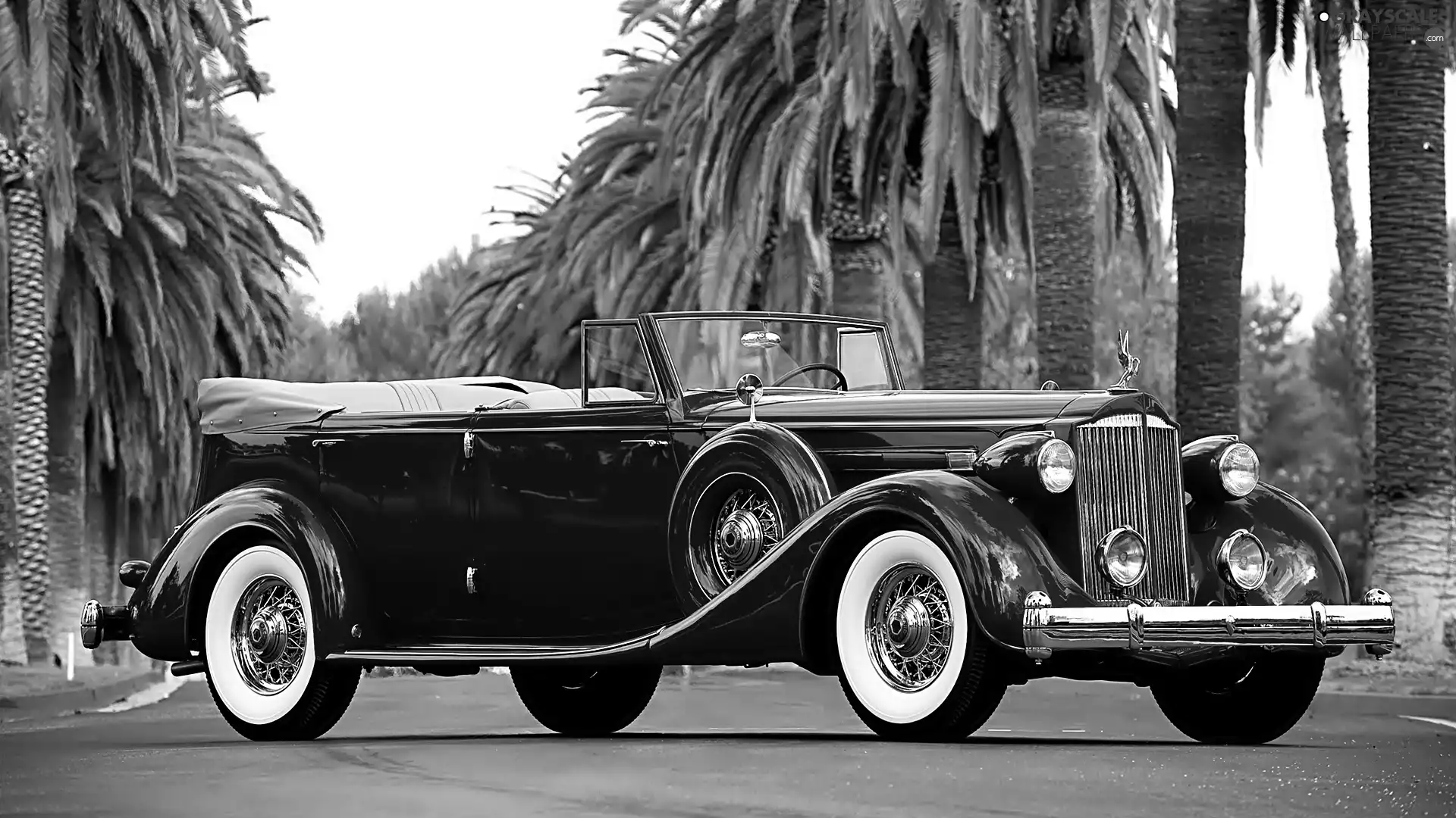 trees, viewes, antique, 1935, Automobile