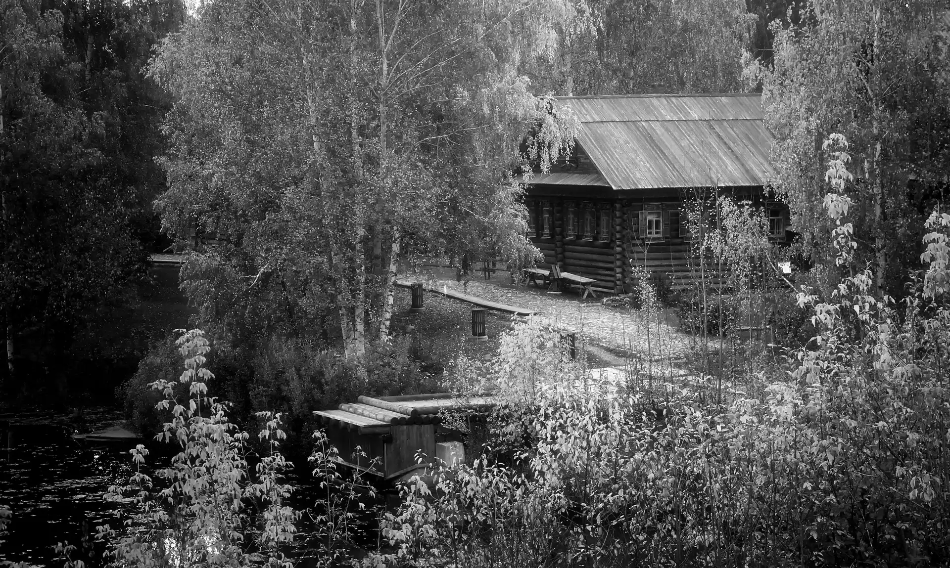 trees, viewes, house, brook, autumn