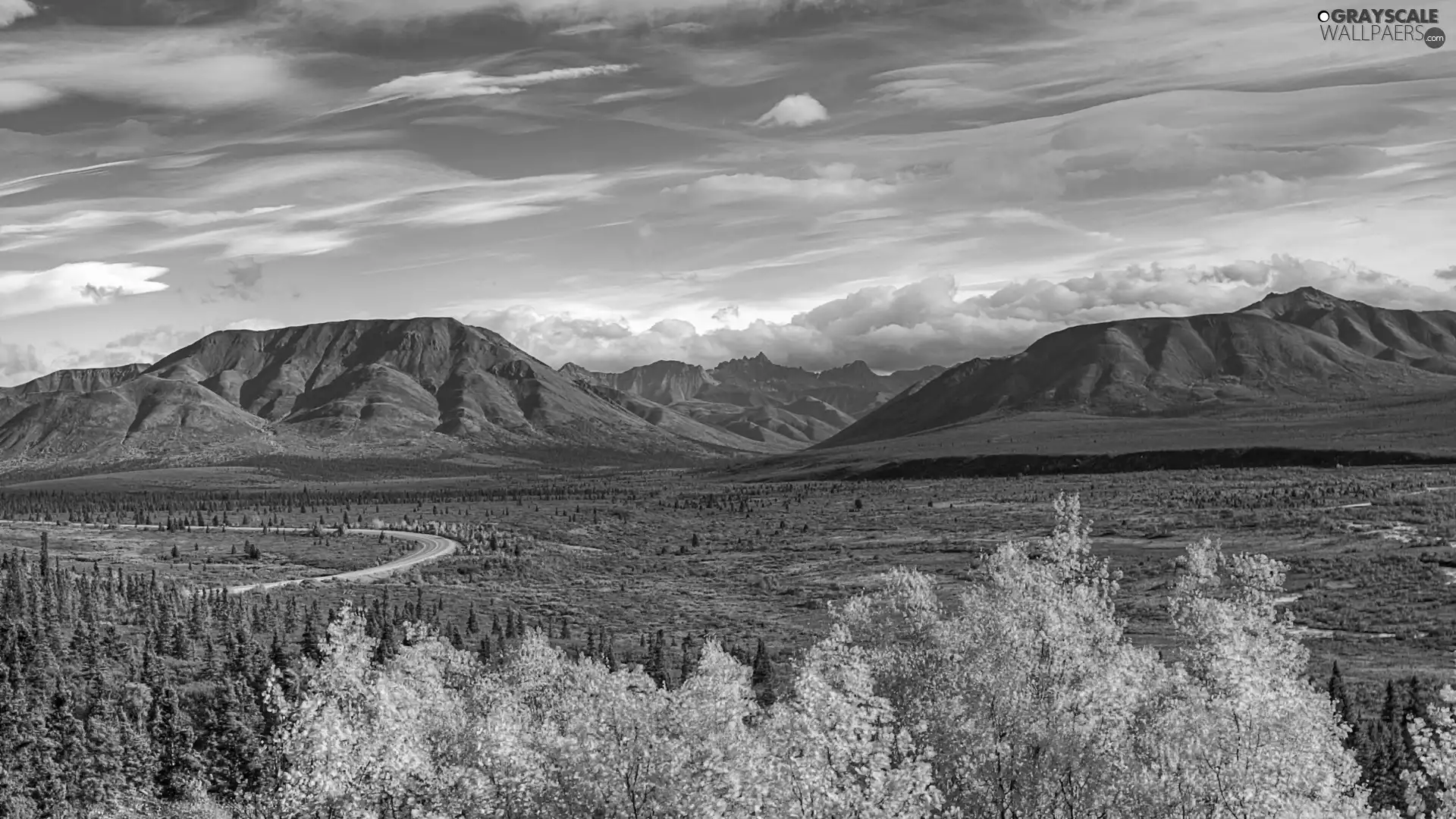 trees, viewes, Mountains, clouds, autumn