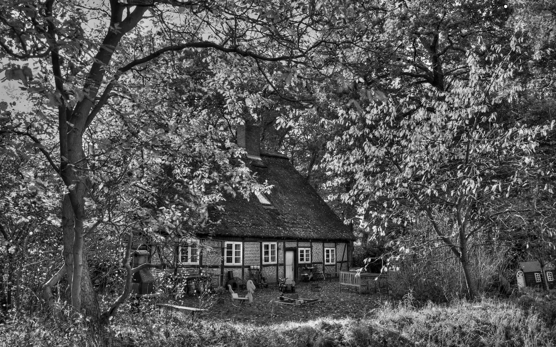 trees, viewes, house, Garden, autumn