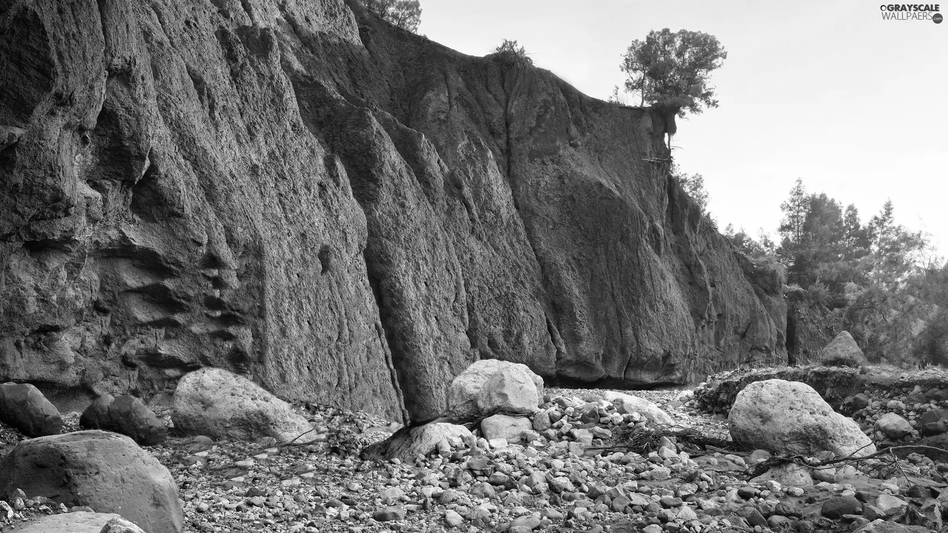 trees, viewes, landslide, Stones, bed-rock