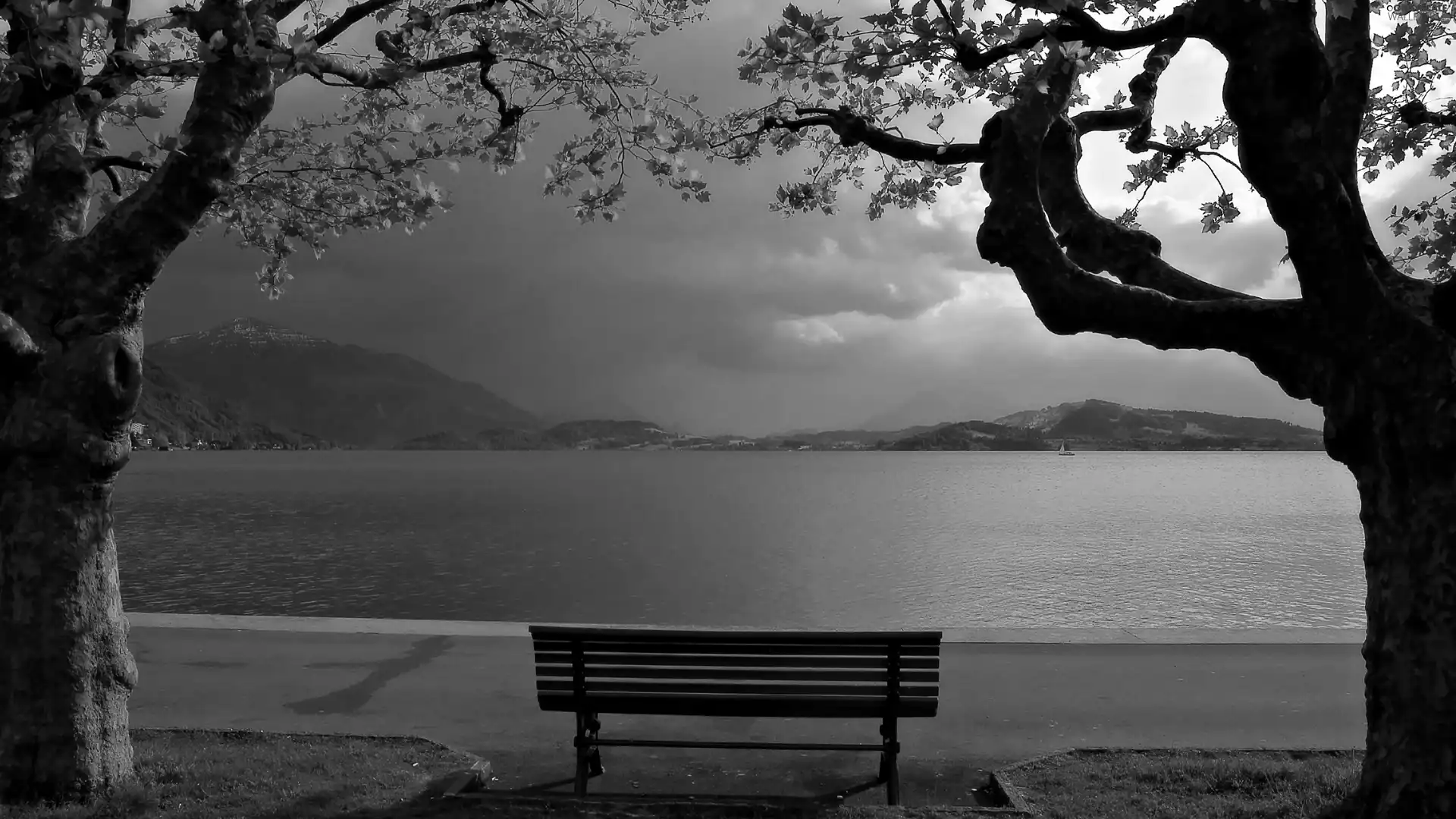 Mountains, lake, trees, viewes, Bench, Beaches